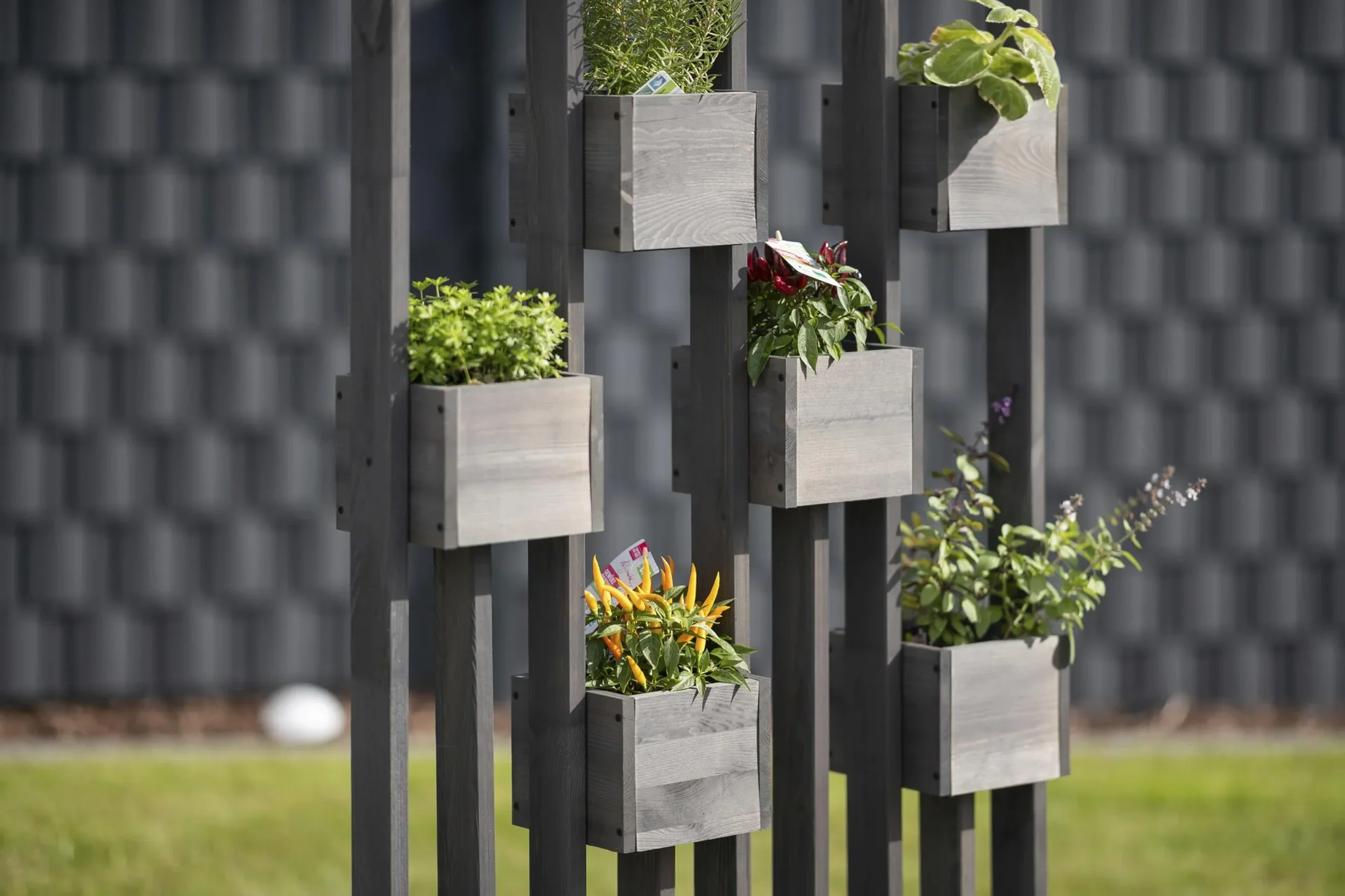 Pflanzenwand Ulla - 3