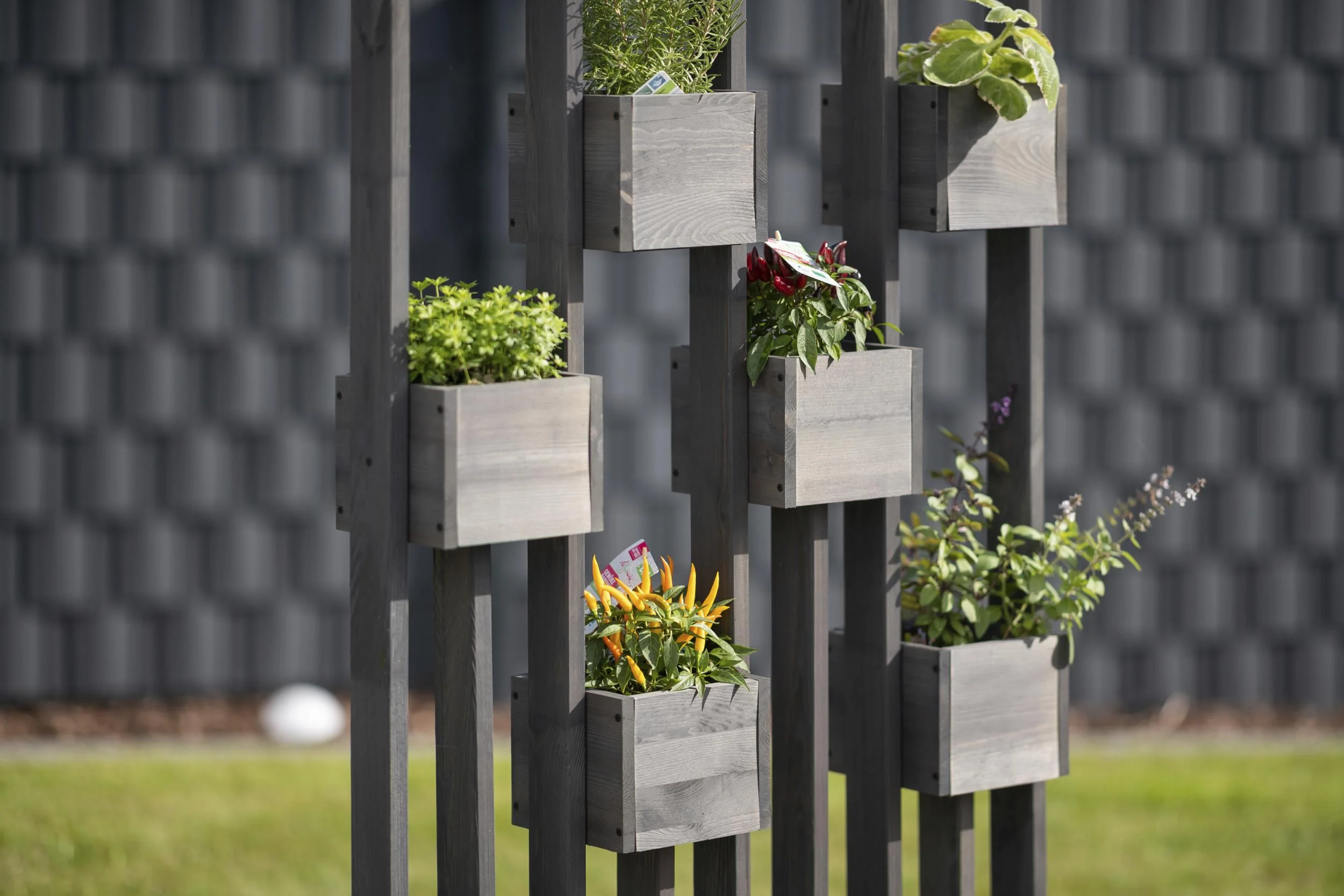 Pflanzenwand Ulla - 3