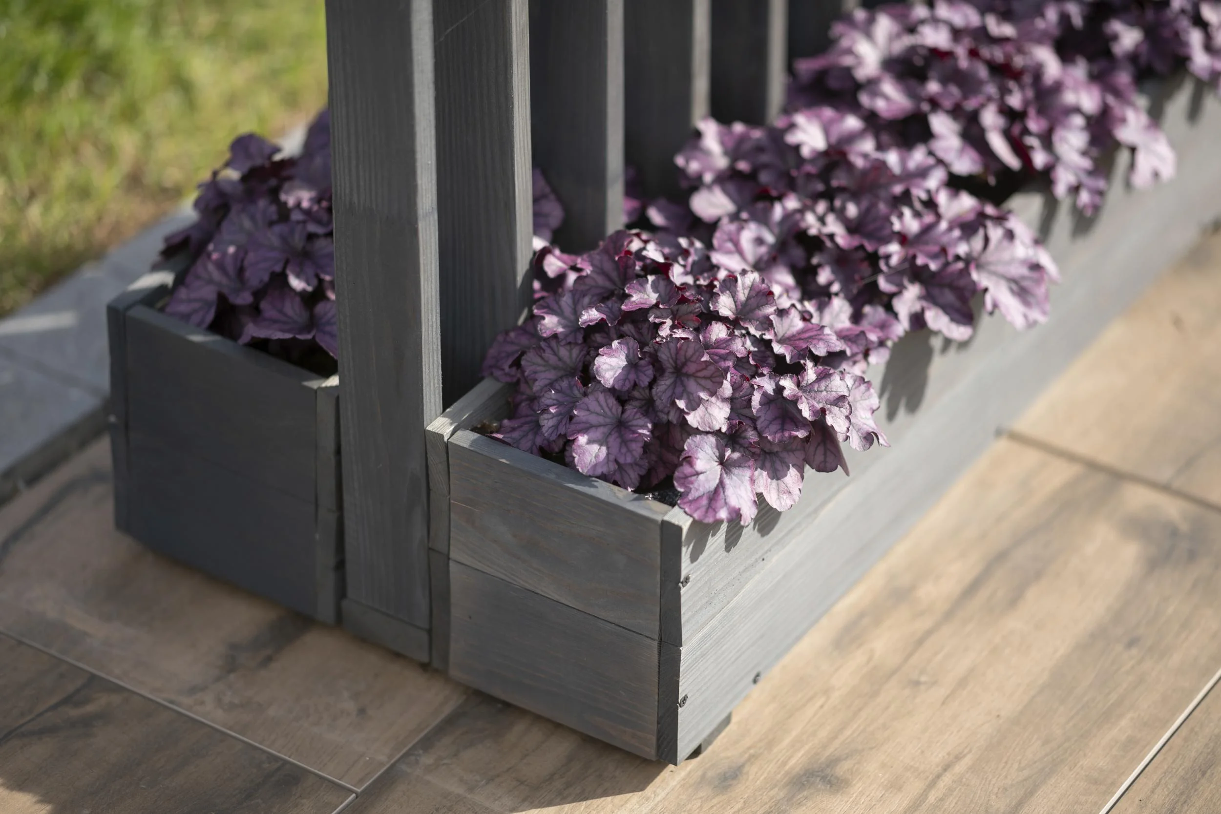 Pflanzenwand Ulla - 5