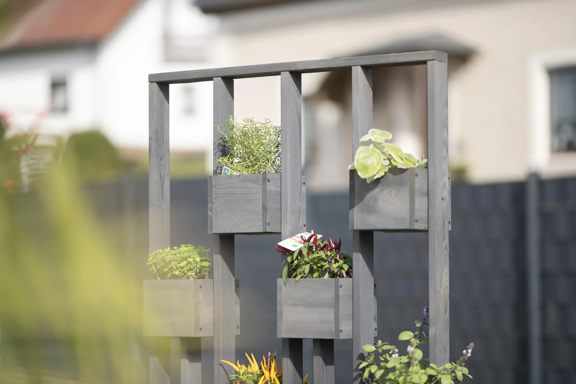 Pflanzenwand Ulla - 9