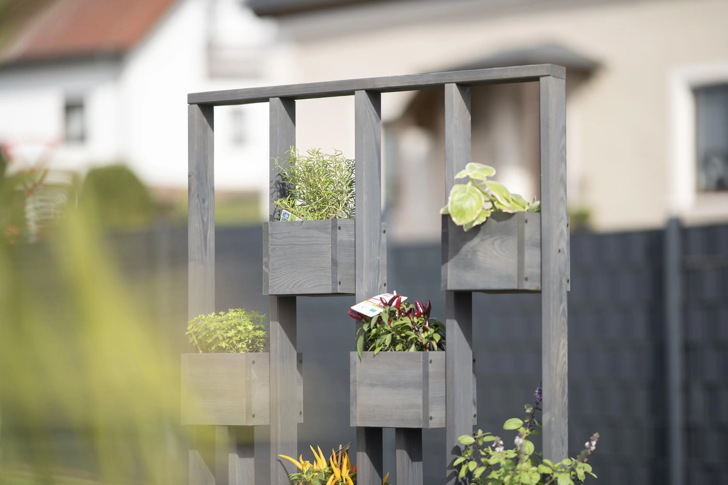 Pflanzenwand Ulla - 9