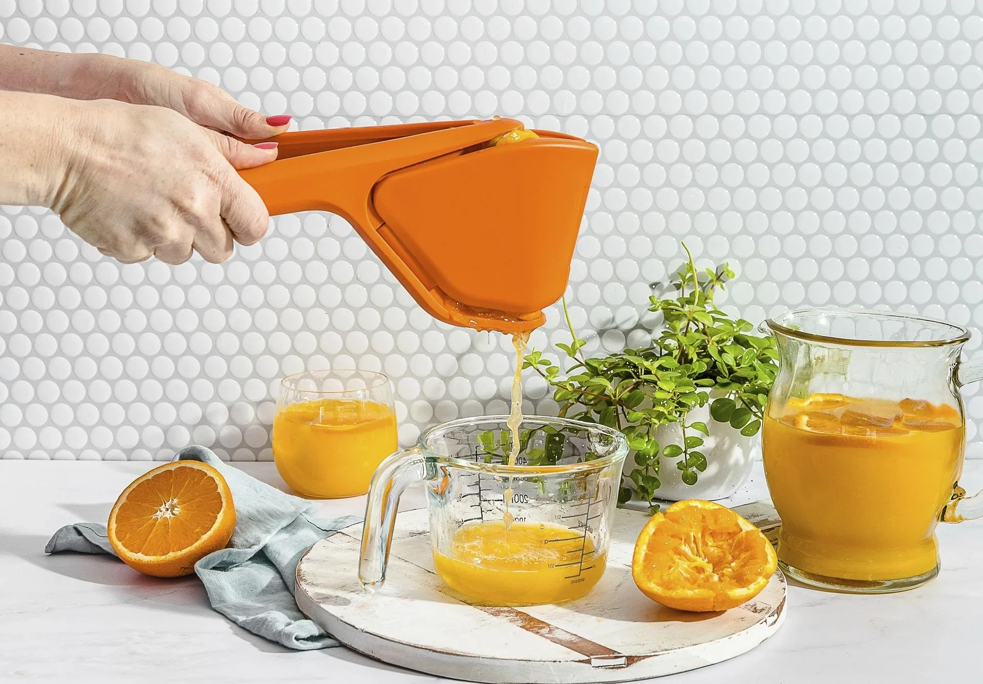 Orangen und Zitruspresse Fluicer - 1