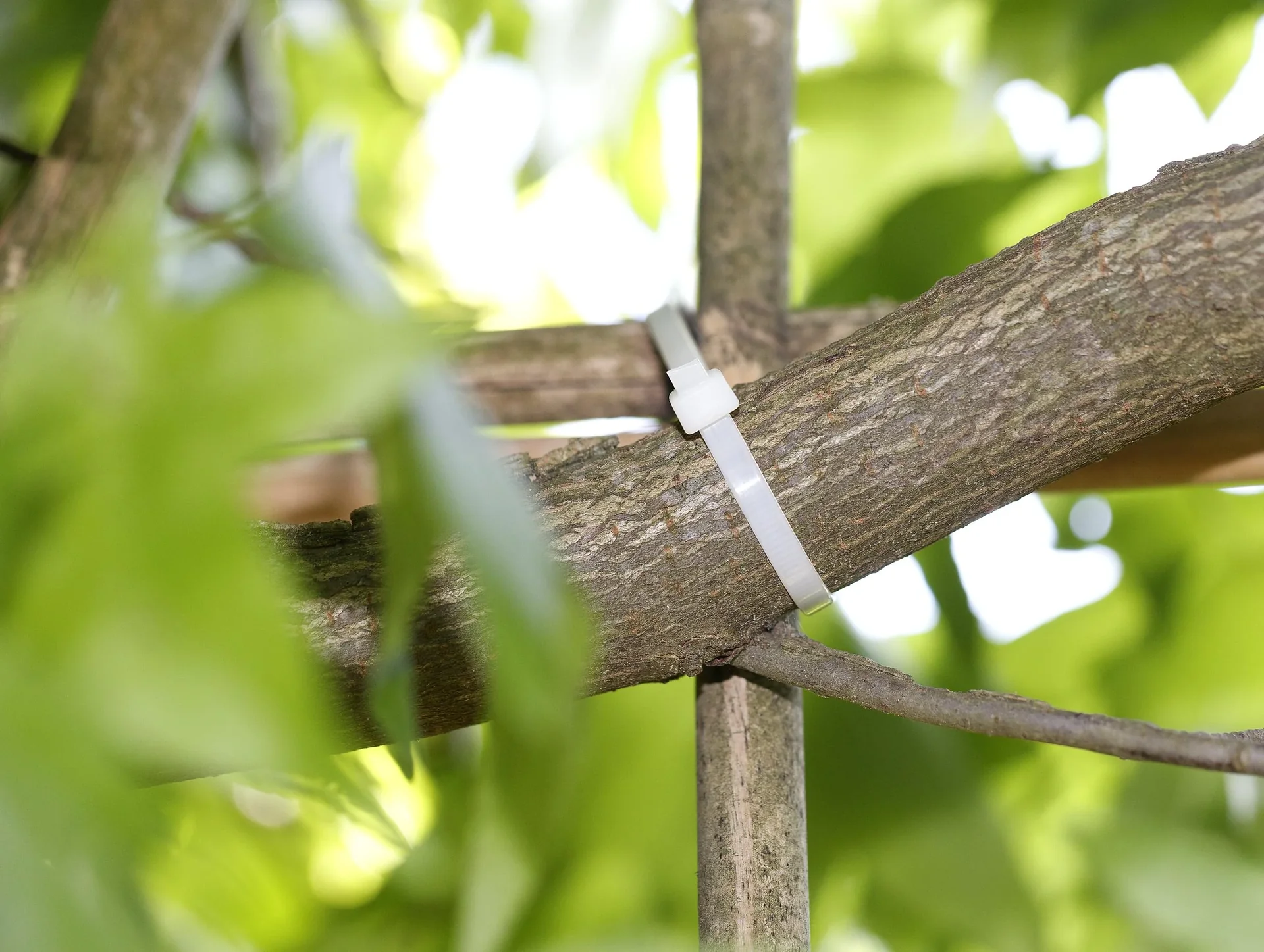 Kabelbinder zum Abdrehen "Twist Cable Ties", Weiß 200 x 4,6 mm - 4