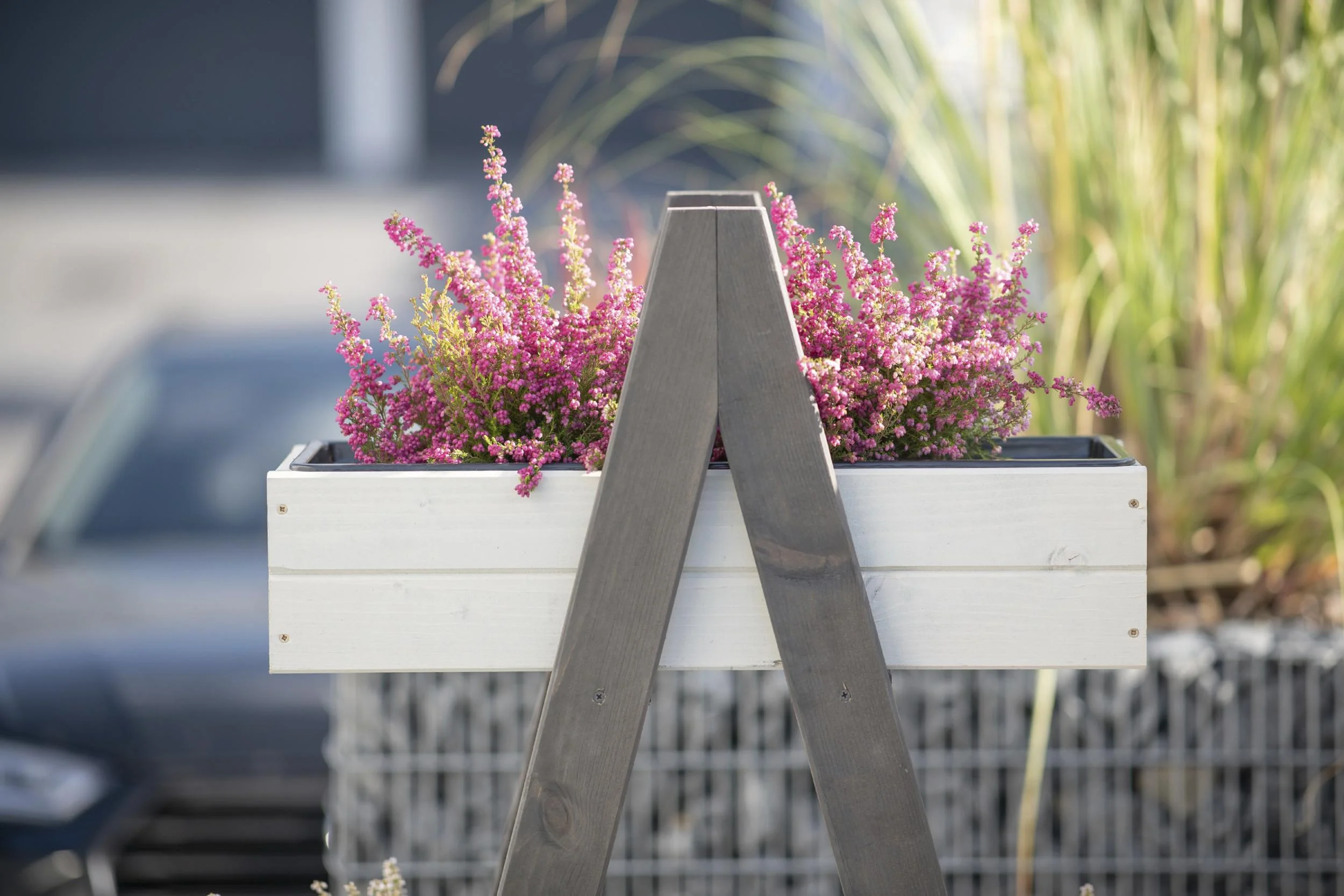 Pflanzenregal Ella - 1