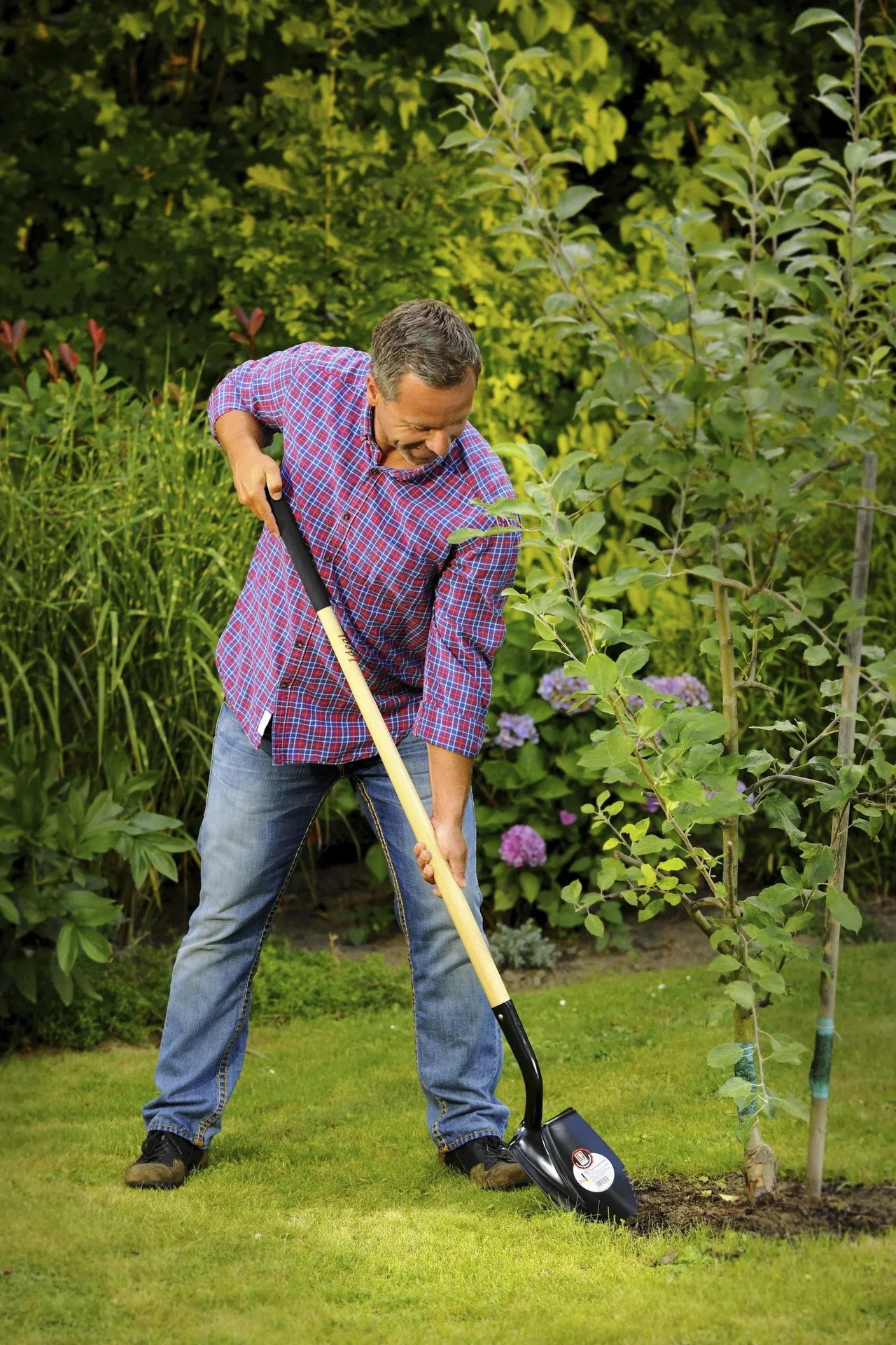 Spatenschaufel klein, Wellenschliff, Gr. 1, Trittschutz, gehärtet, schwarz pulverbeschichtet, Eschenstiel 120 cm - 1