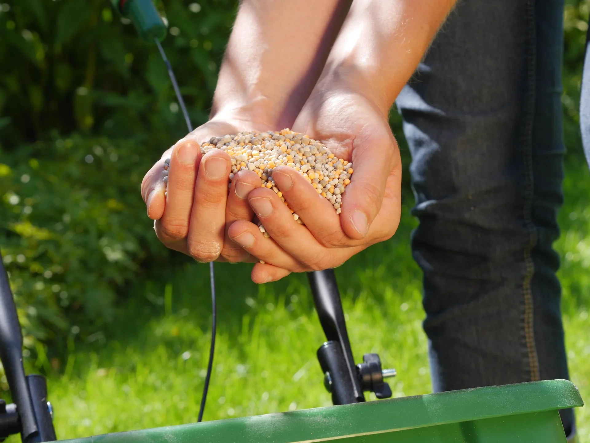 Rasendünger mit Unkrautvernichter 2 kg - 1
