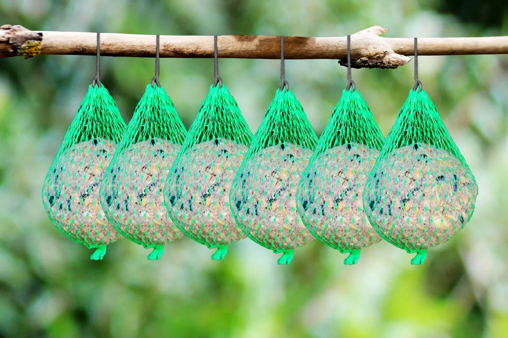 Meisenknödel, 6er Set - 0