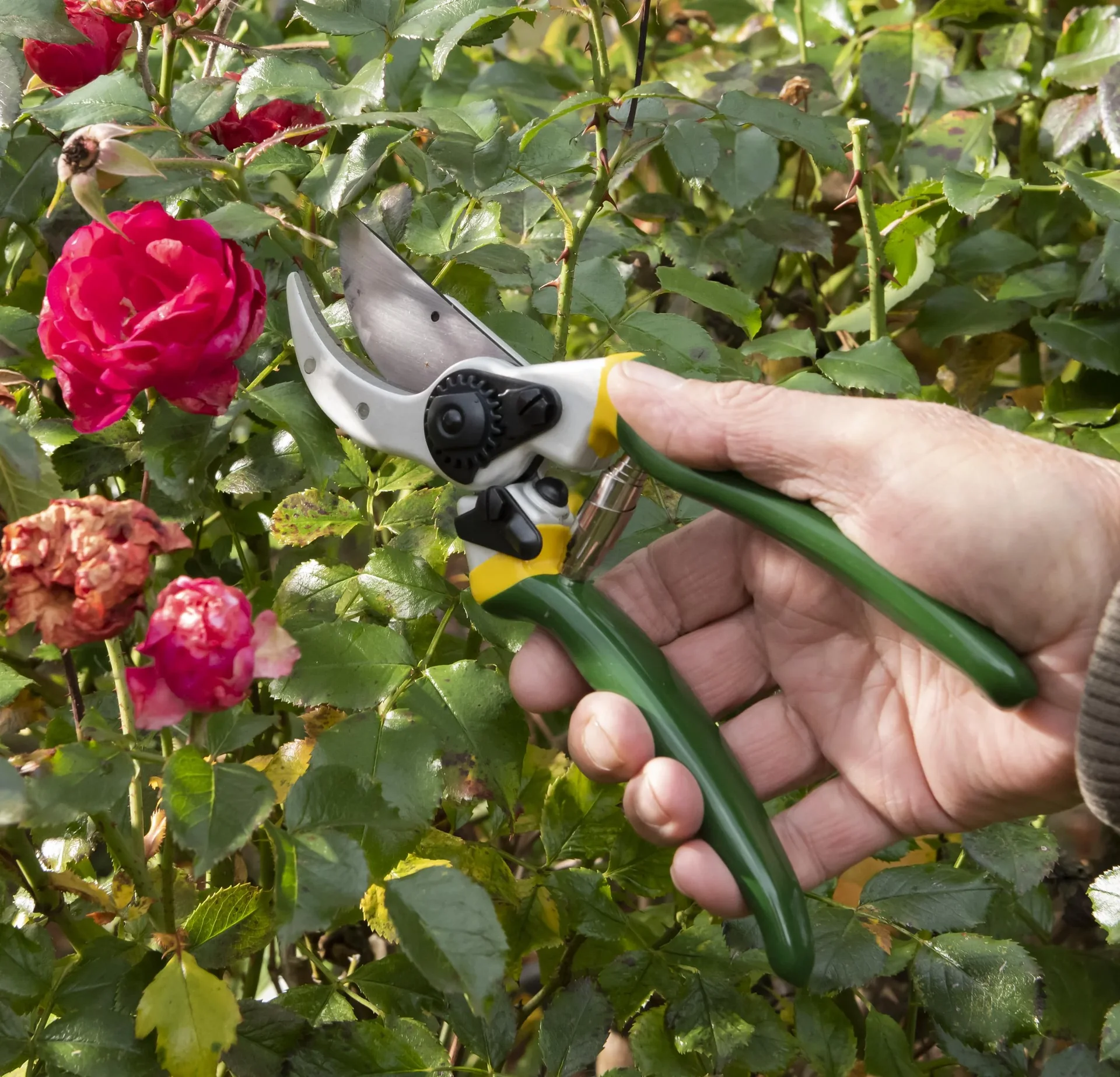 Einhand-Gartenschere, Classic - 2