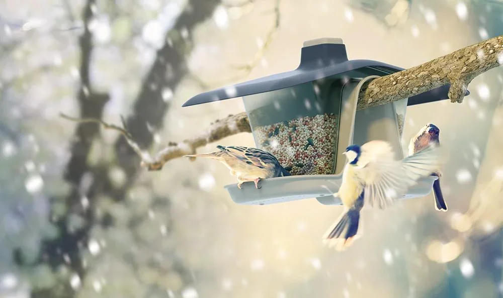 Vogelhaus DOUBLE, anthrazit - 0