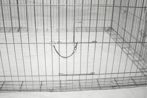 Freilaufgehege mit Ausbruchsperre, passend für Hühnerstall Art.830317 - 3