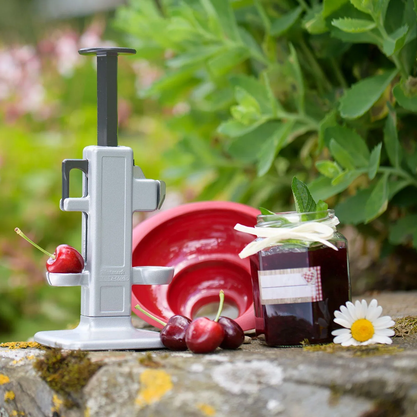 Kirschen- und Pflaumenentsteiner "Steinex-Combi" - 10