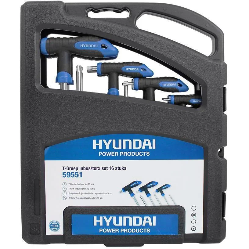 16dlg T-Griff Sechskant- und Torxschlüssel-Set - 2