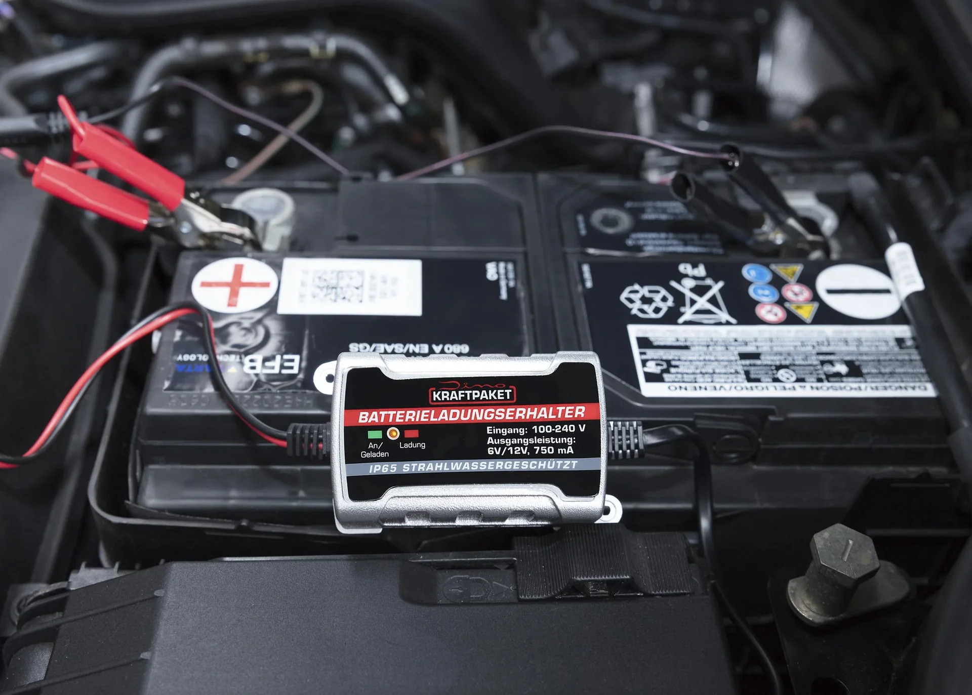 Batterie - Erhaltungsladegerät - 5