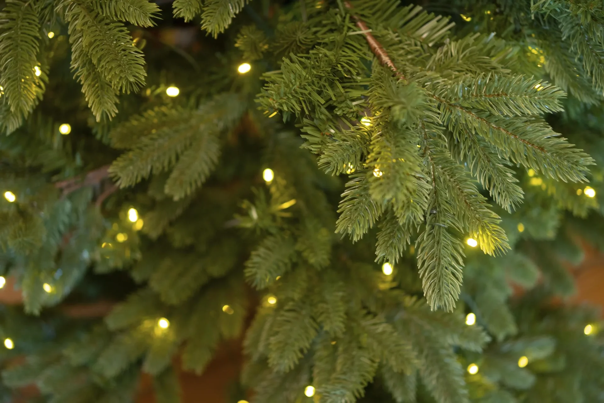 Weihnachtsbaum Roswell Kiefer 150 cm - 0