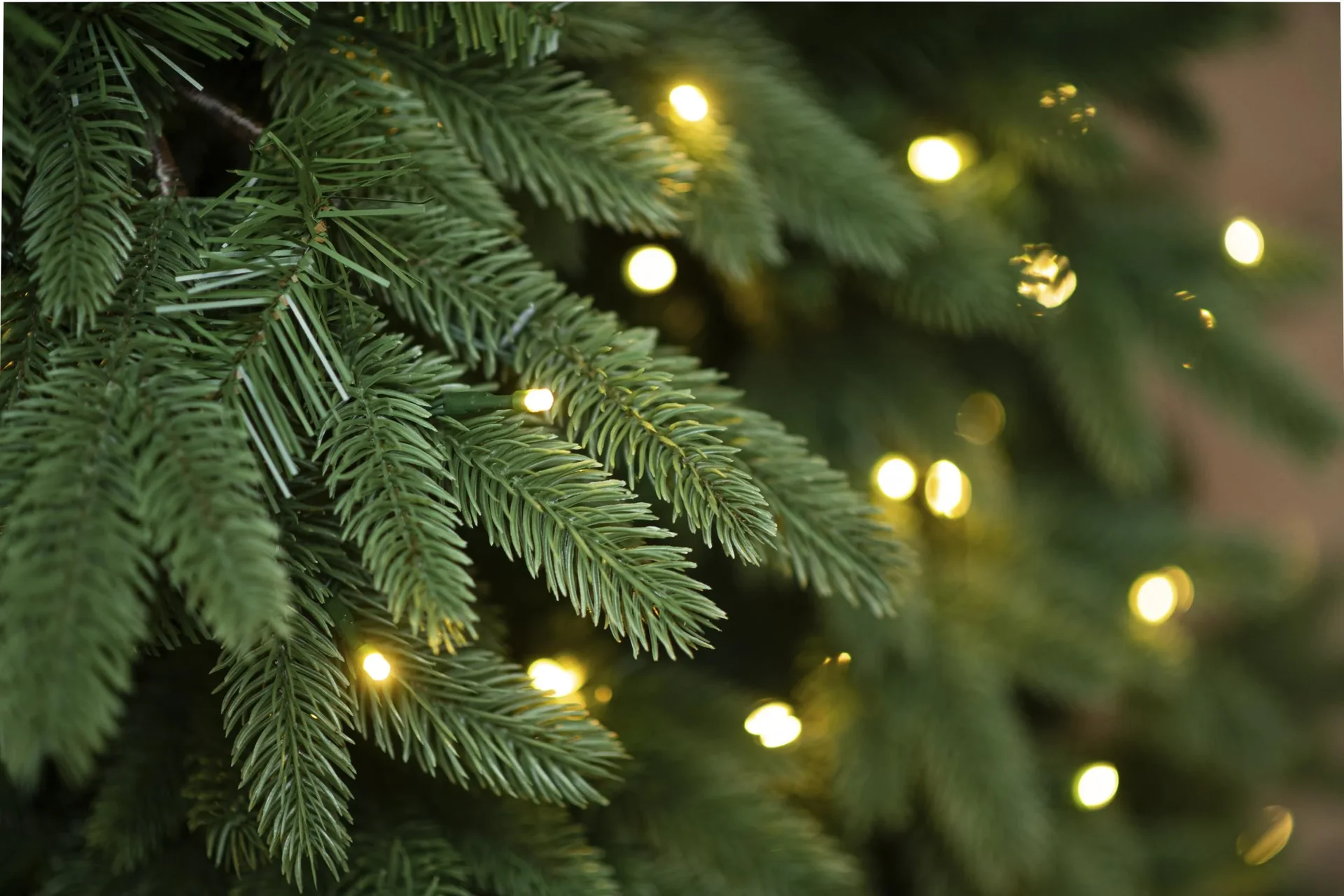 Weihnachtsbaum Roswell Kiefer 150 cm - 4