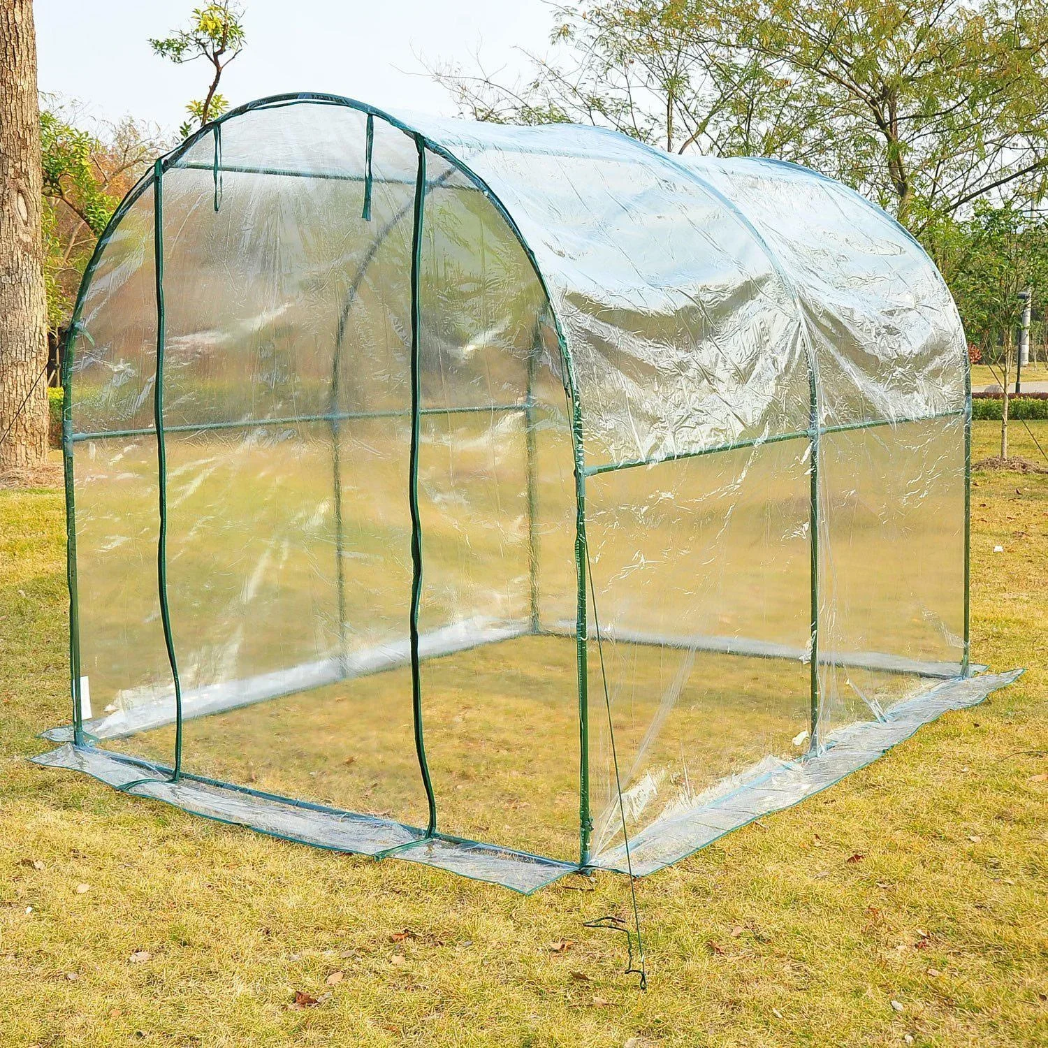 Gewächshaus 2,5x2x2m Foliengewächshaus Transparent - 2