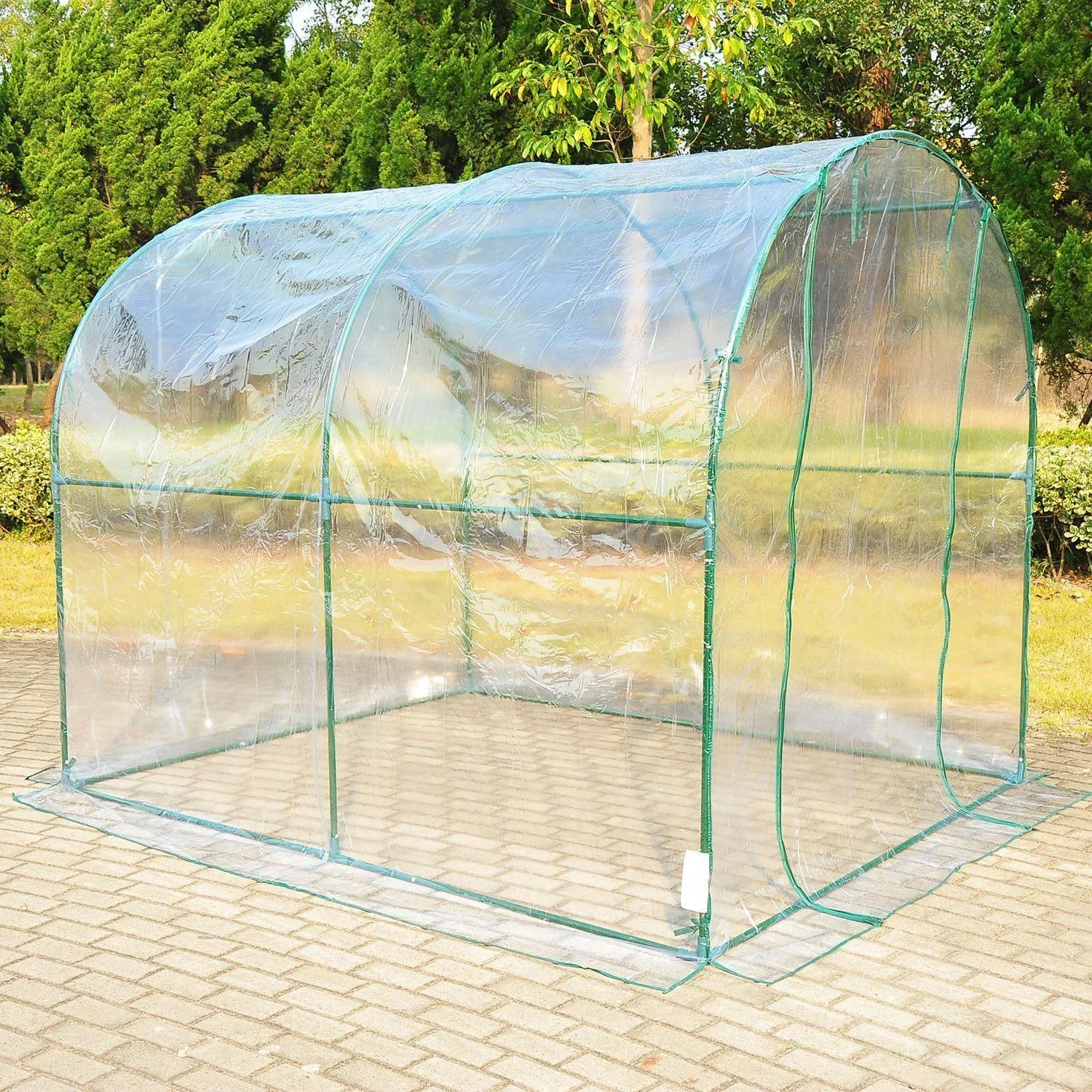 Gewächshaus 2,5x2x2m Foliengewächshaus Transparent - 3