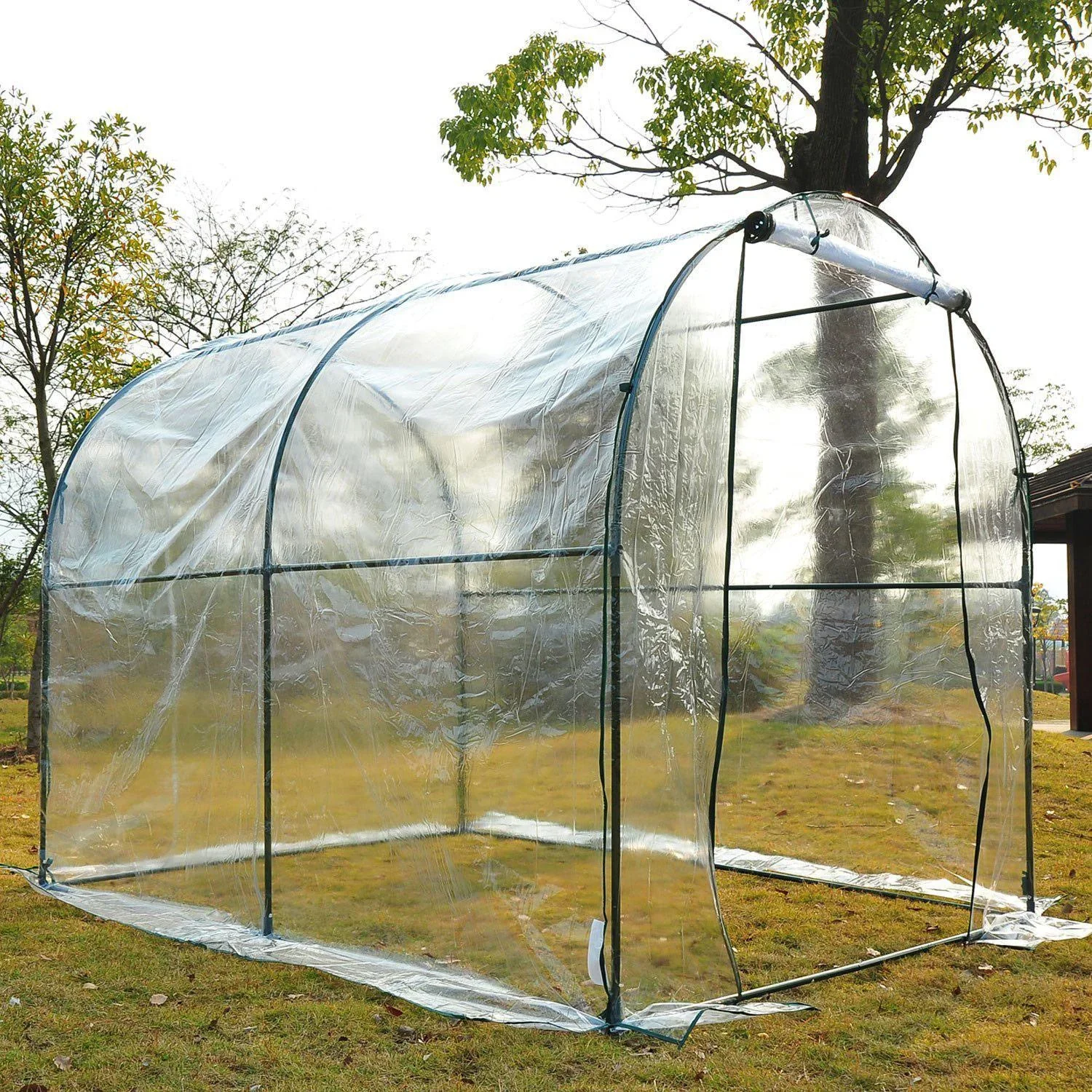 Gewächshaus 2,5x2x2m Foliengewächshaus Transparent - 5