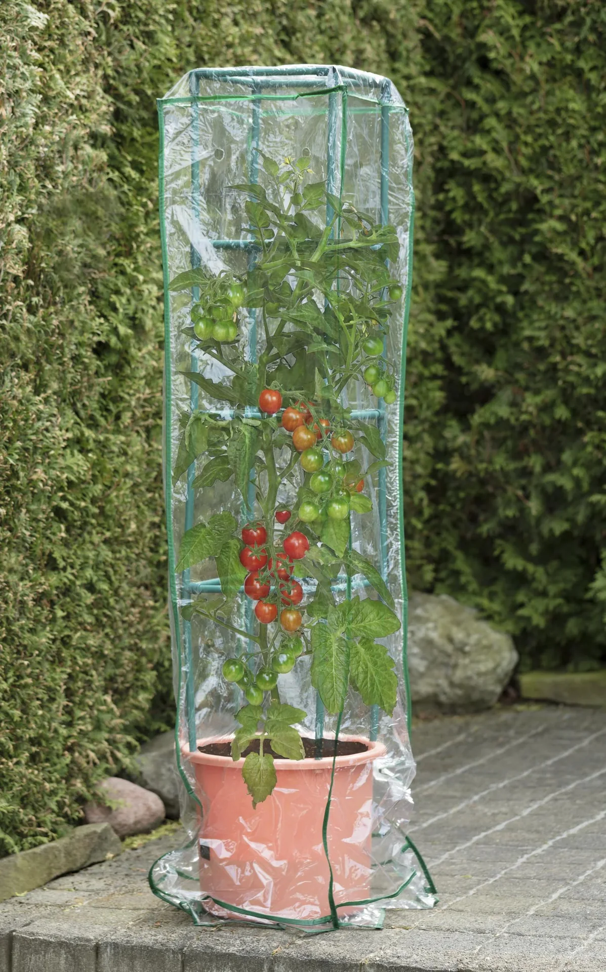 Wachstumshaube/ Hülle/ Abdeckhaube passend für Pflanzenturm "Maxitom" und "Maxitom Jumbo" - 0