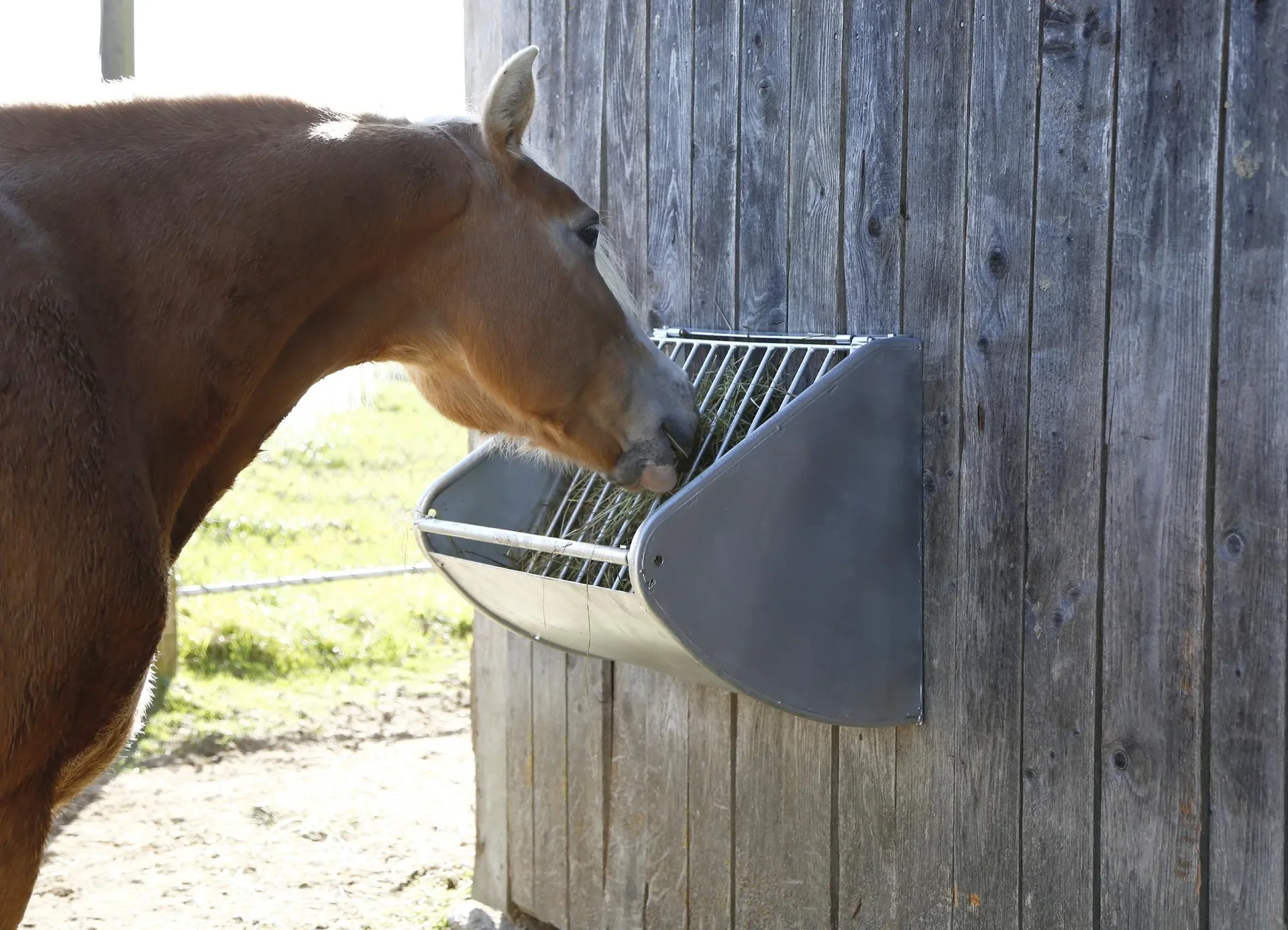 Heuraufe mit Futterspargitter - 1