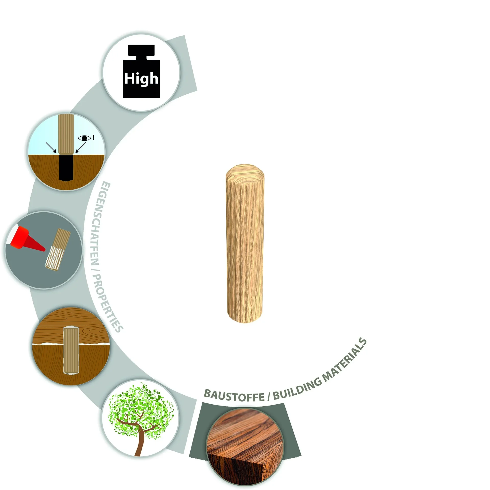 Holzdübel Boltfix wood 10x40 mm, Riffeldübel aus massiver Buche - 1