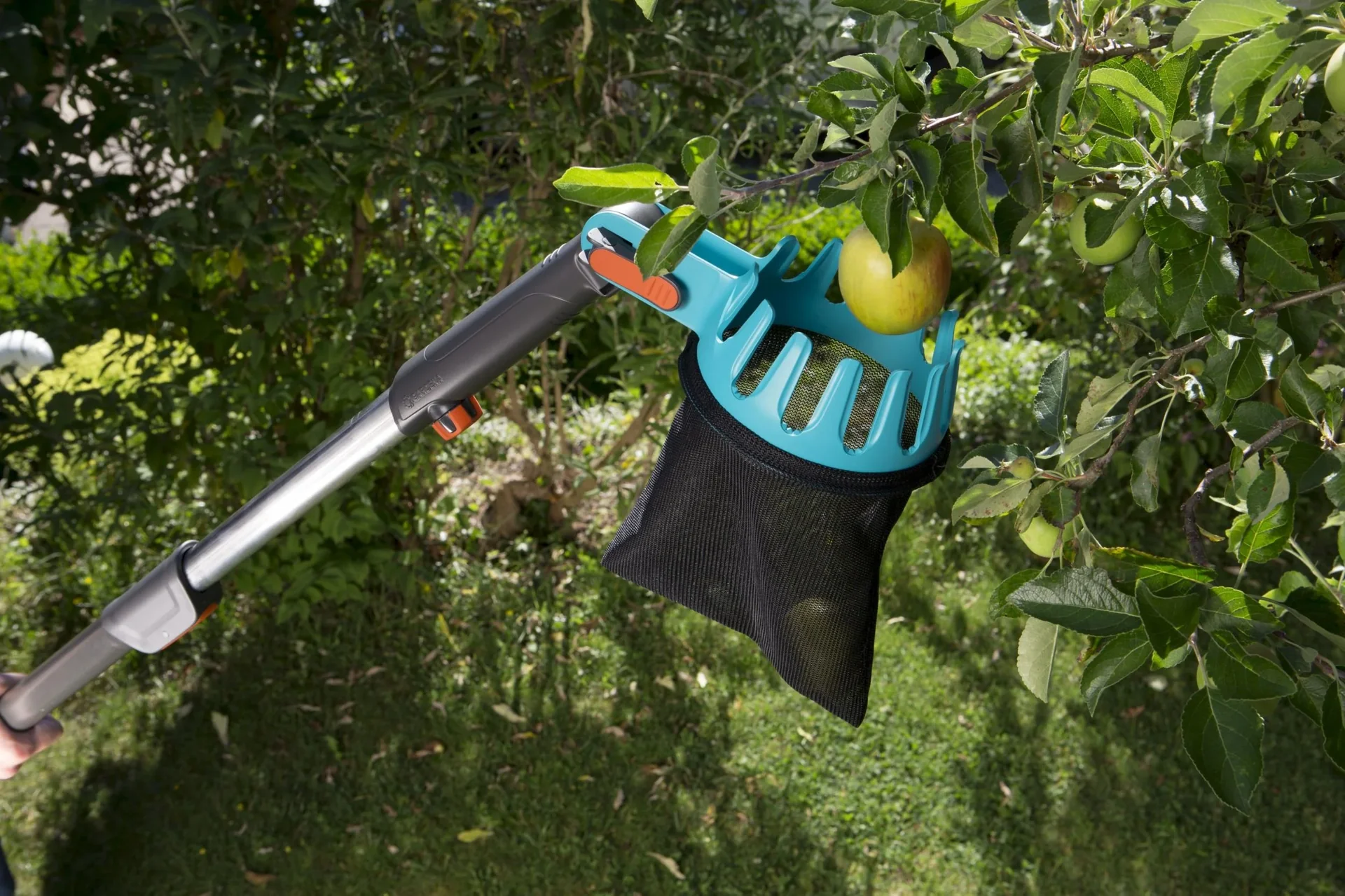 Combisystem-Obstpflücker, 14 cm Öffnung - 2