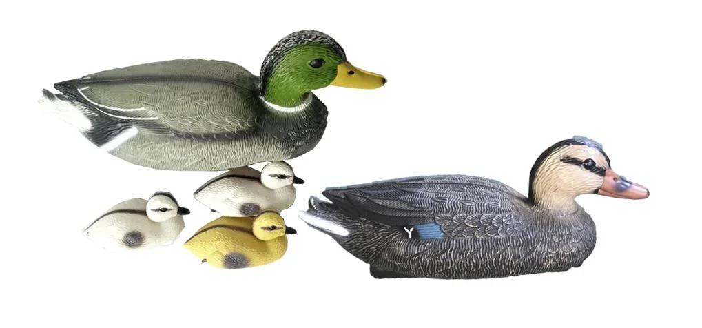 Entenfamilie - 0