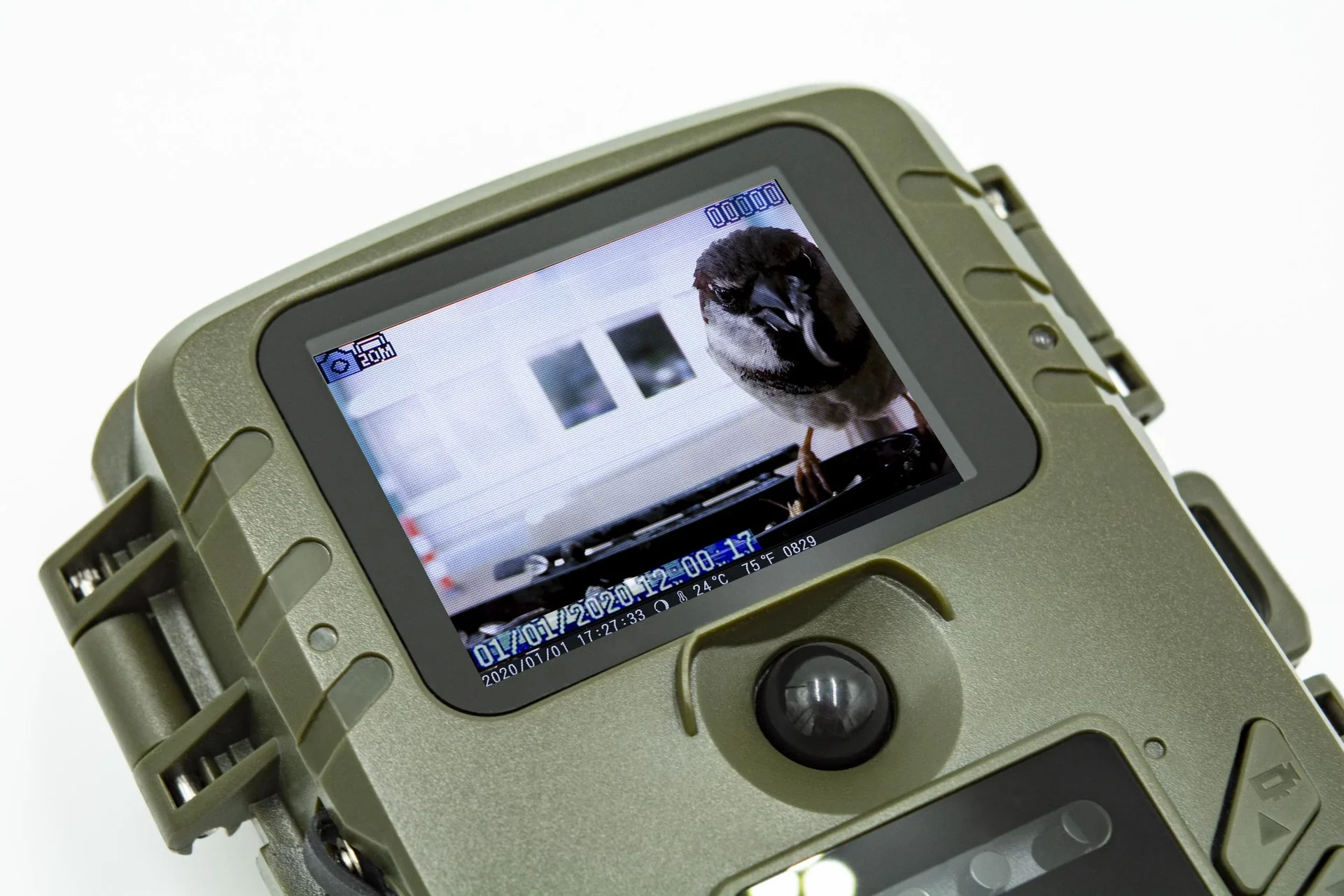 Full HD Kamera für Vögel- und Kleintierbeobachtung mit PIR Sensor, Mikrofon und Lautsprecher - 1