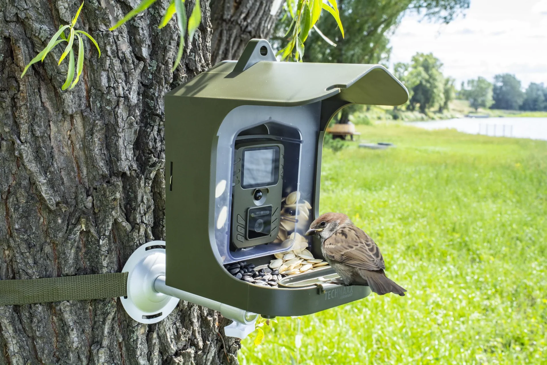 Full HD Kamera für Vögel- und Kleintierbeobachtung mit PIR Sensor, Mikrofon und Lautsprecher - 7