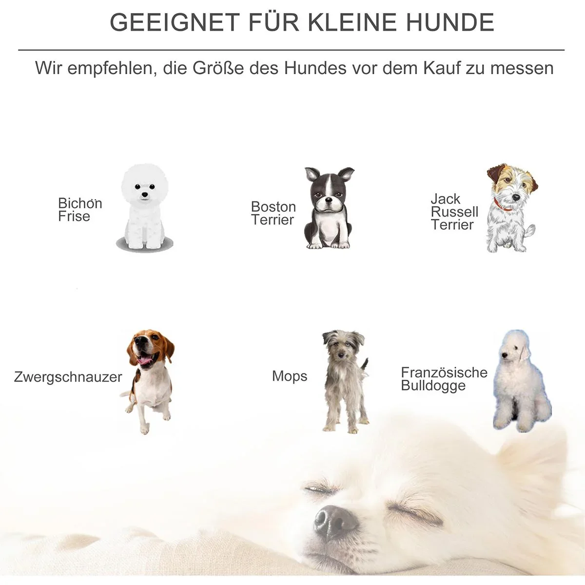 Haustierbett mit Kissen grau - 1