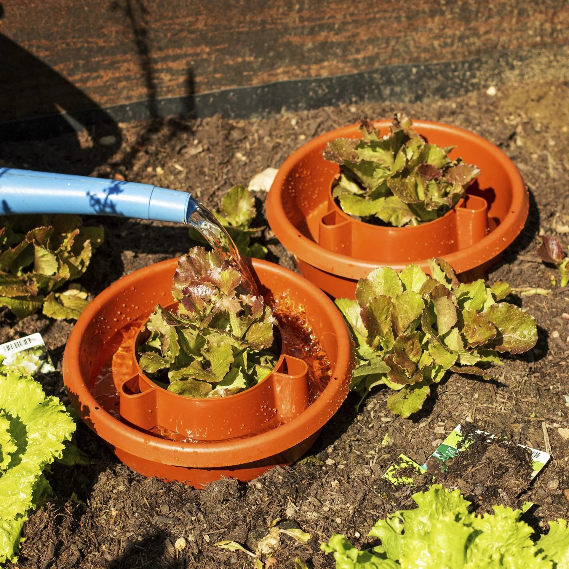 Bewässerungsringe 4er Set - 1