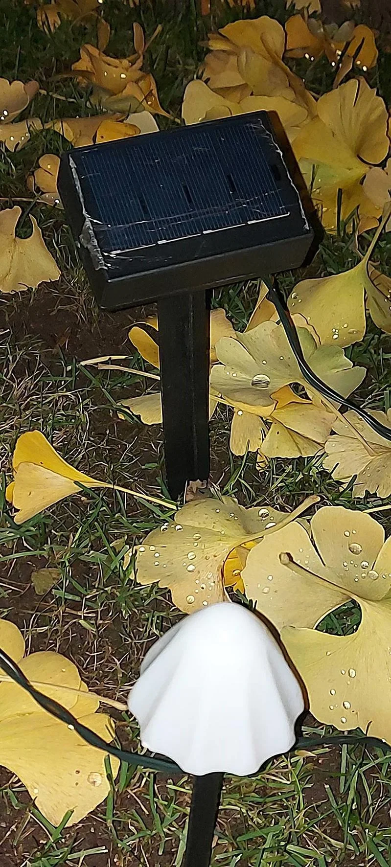 Solar-Lichterkette "Pilz", mit 20 warmweißen LEDs - 0