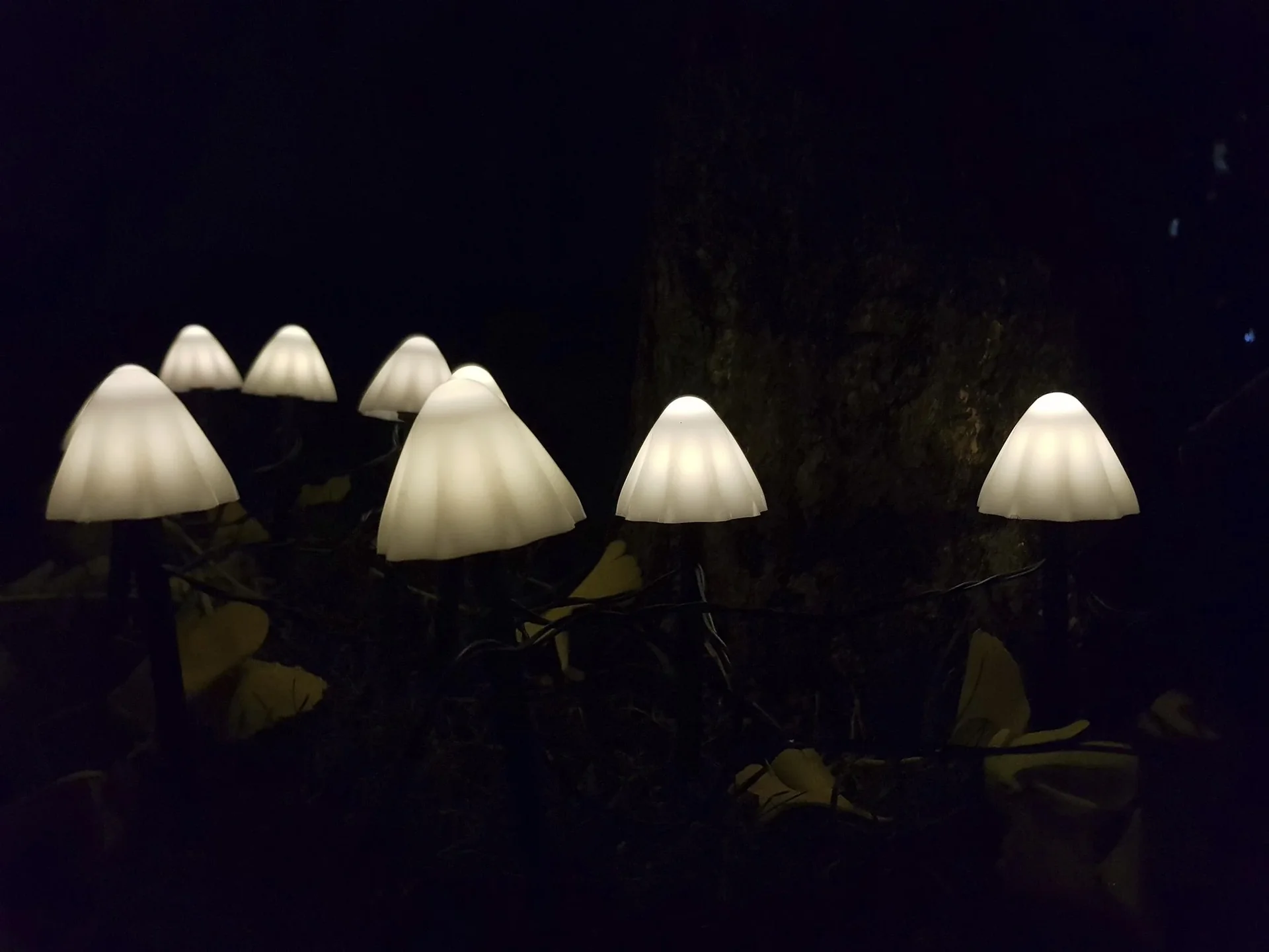 Solar-Lichterkette "Pilz", mit 20 warmweißen LEDs - 1
