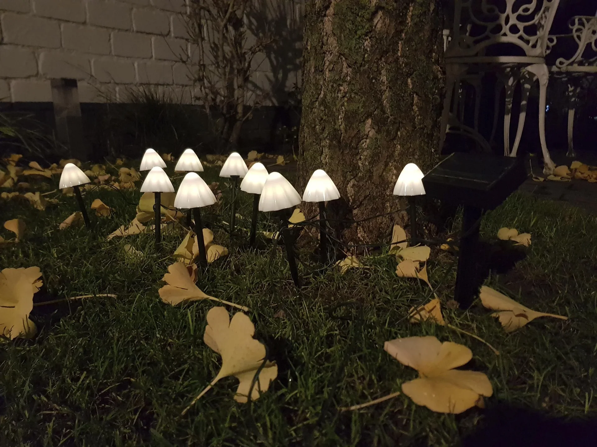 Solar-Lichterkette "Pilz", mit 20 warmweißen LEDs - 5