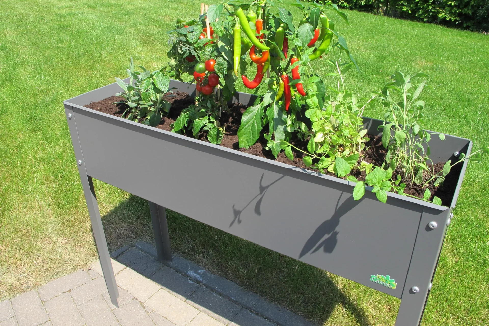 Metallhochbeet "Freising", Größe XL - 5