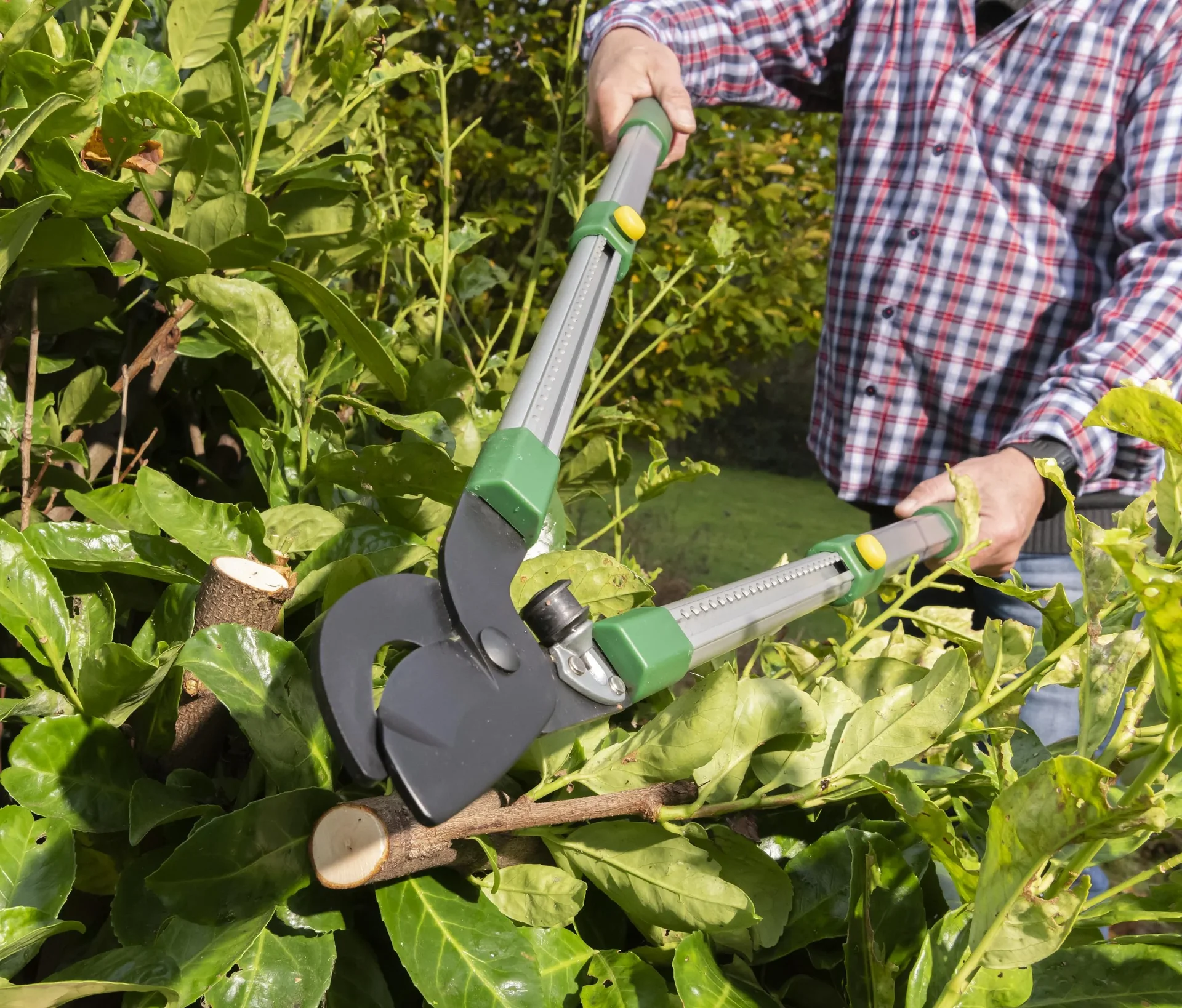 Teleskop-Astschere, vorbeischneidend, 62-91 cm - 1
