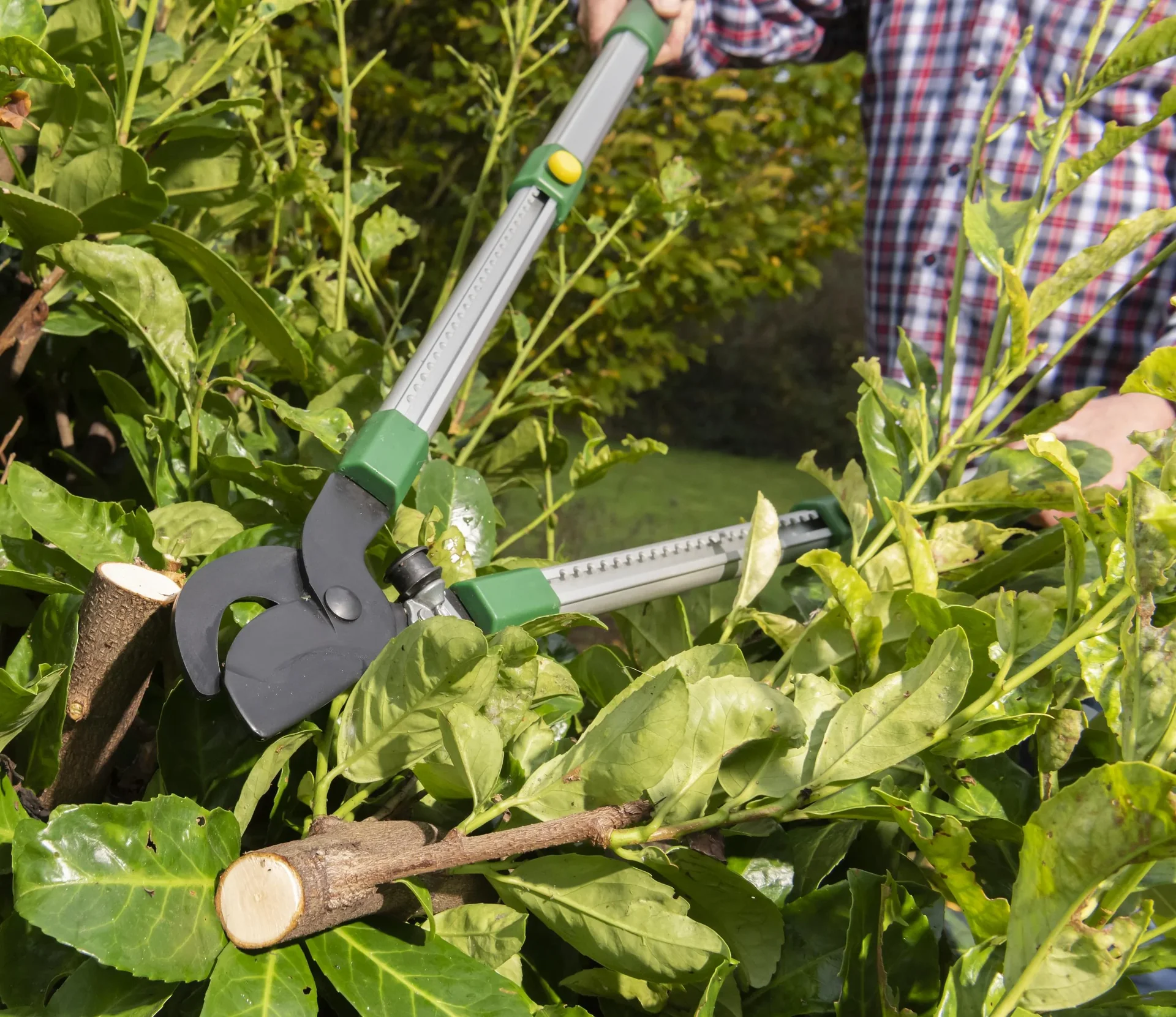 Teleskop-Astschere, vorbeischneidend, 62-91 cm - 2