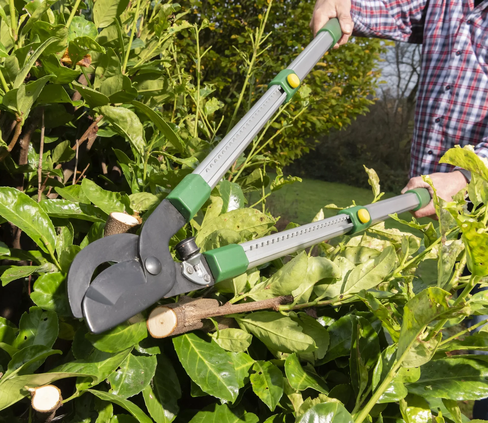 Teleskop-Astschere, vorbeischneidend, 62-91 cm - 3