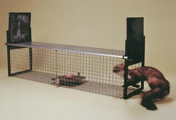 Lebendfalle f. Marder, Iltis, Katze, Kaninchen, 26x26x105 cm, 4,2 kg - 0