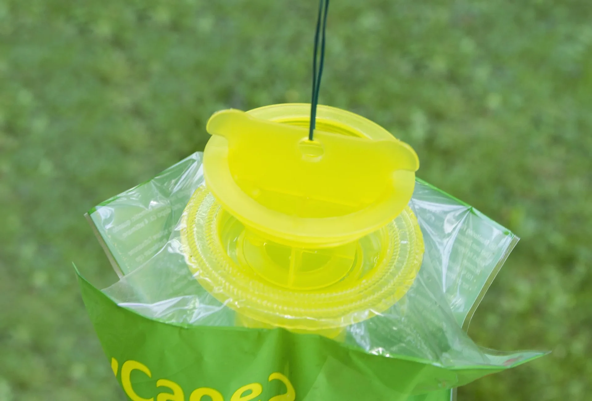 Fruchtfliegenfalle FlyCage2 - 2