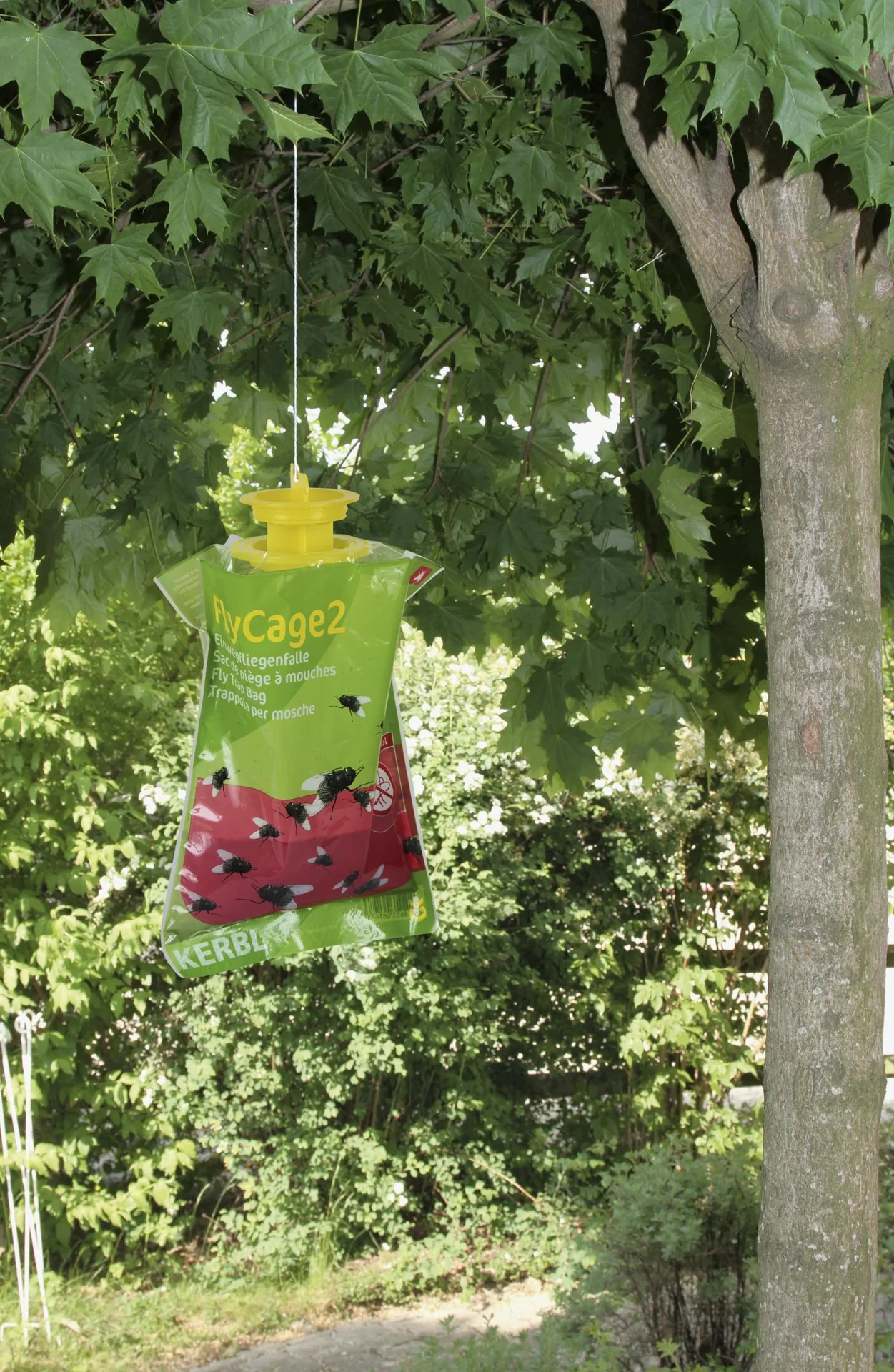 Fruchtfliegenfalle FlyCage2 - 3