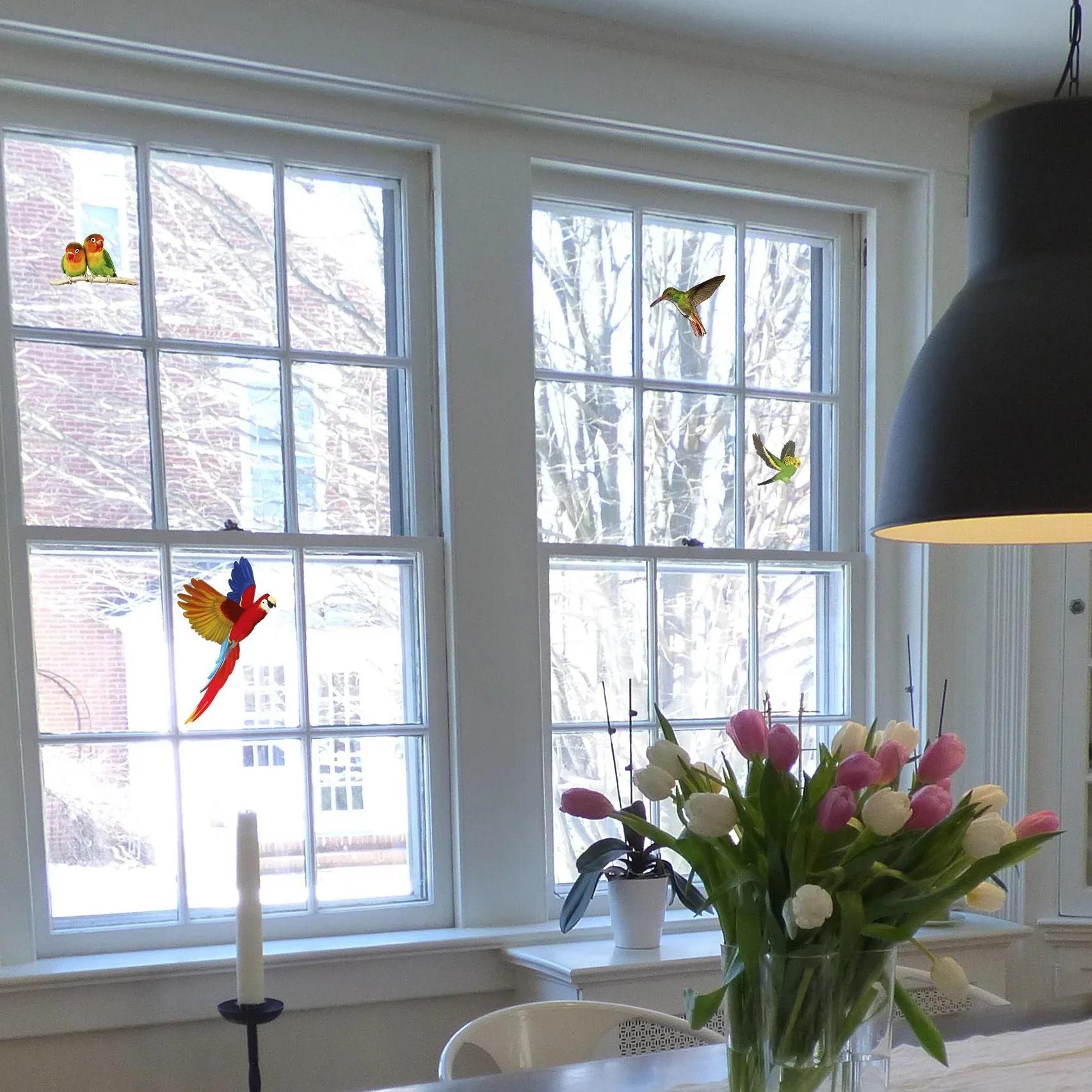 Vogel Silhouetten - 0