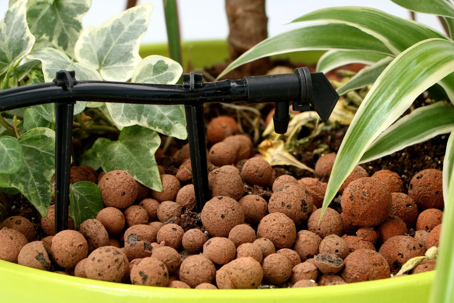 Automatische digitale Tropf- und Bewässerungssteuerung - 0