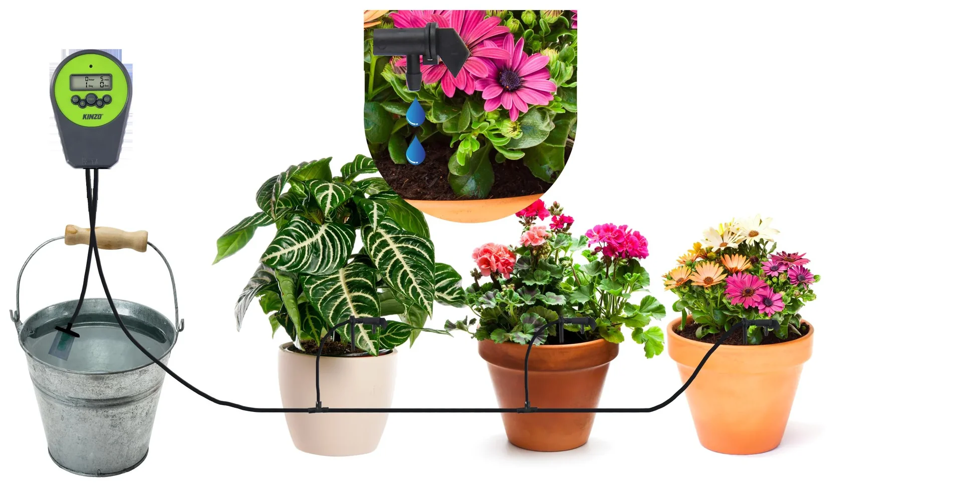 Automatische digitale Tropf- und Bewässerungssteuerung - 1