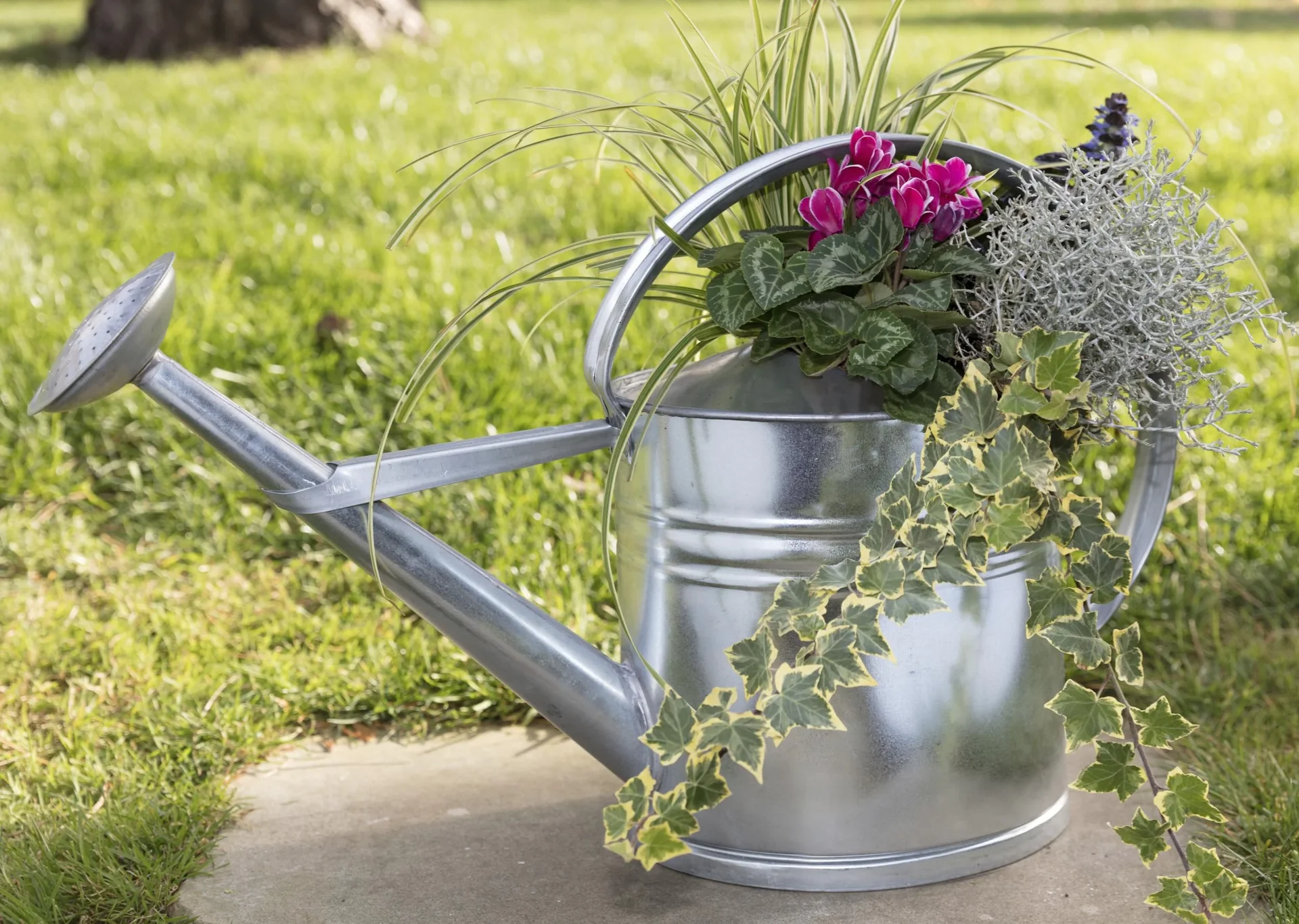 Gießkanne verzinkt 10 L - 0