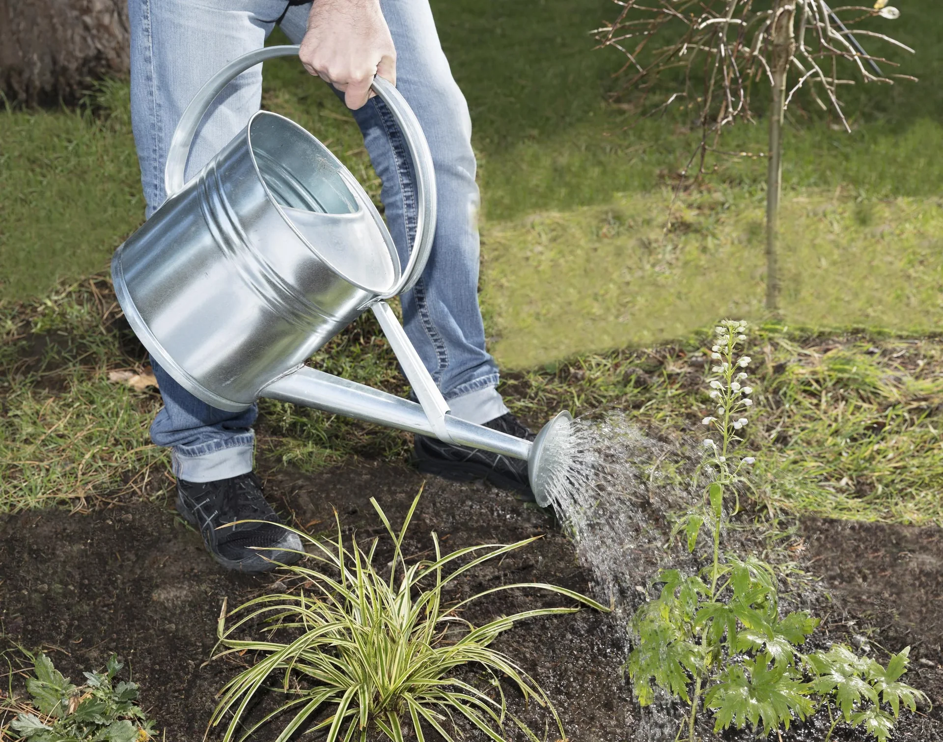 Gießkanne verzinkt 10 L - 1