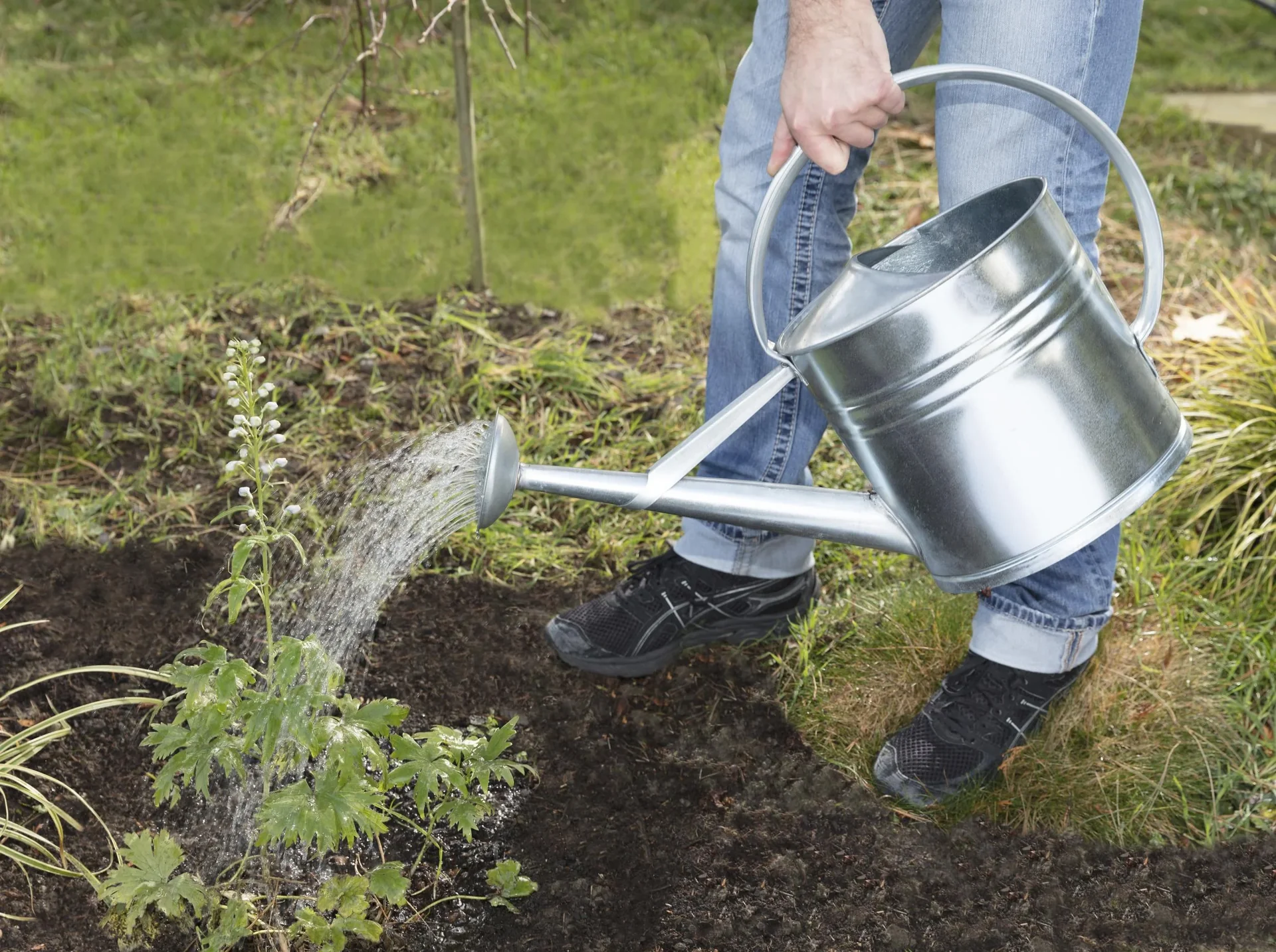 Gießkanne verzinkt 10 L - 2