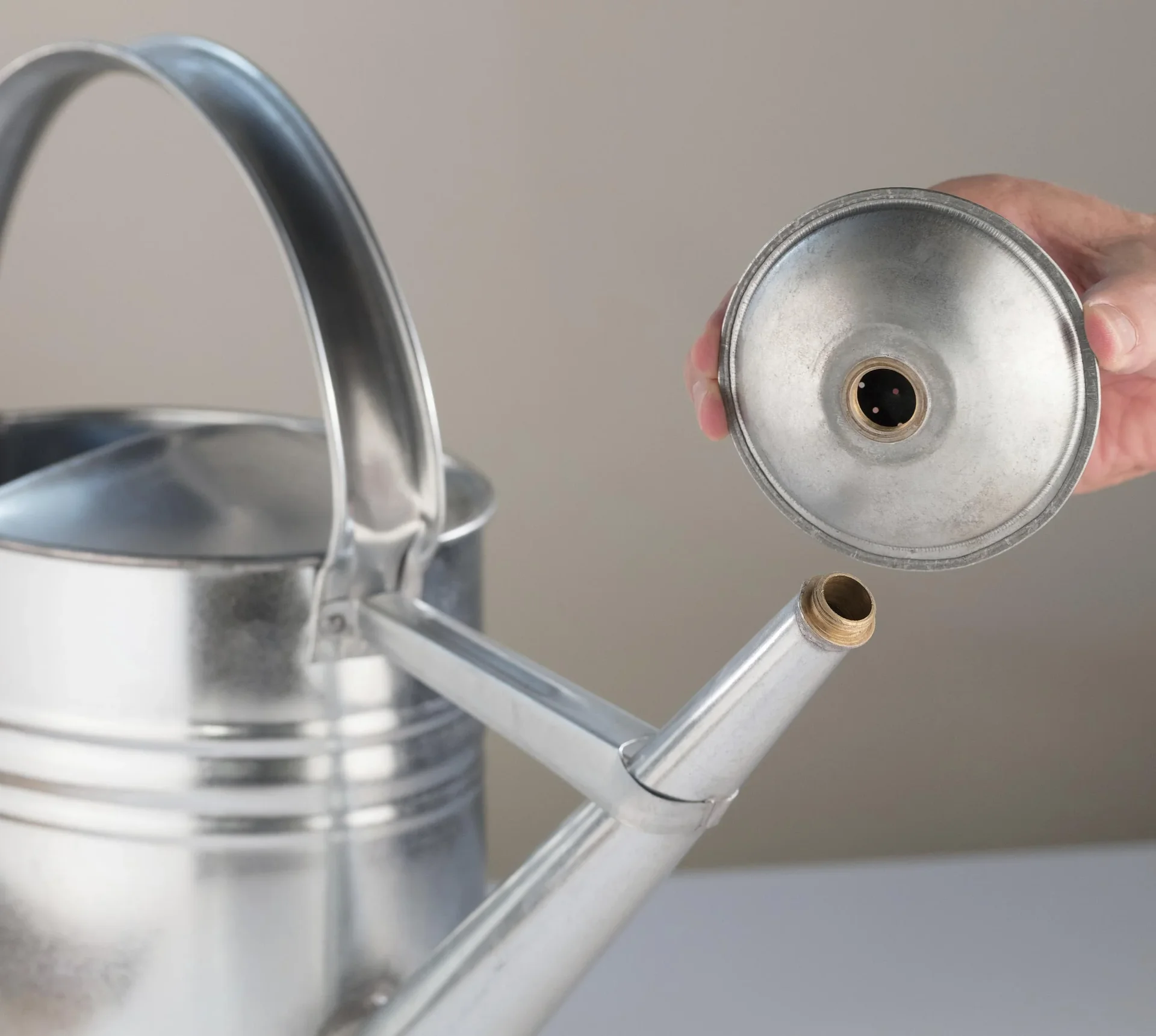 Gießkanne verzinkt 10 L - 5