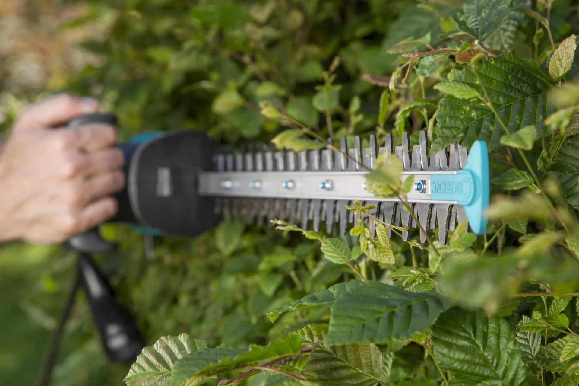 Elektro-Heckenschere EasyCut 420/45 - 6