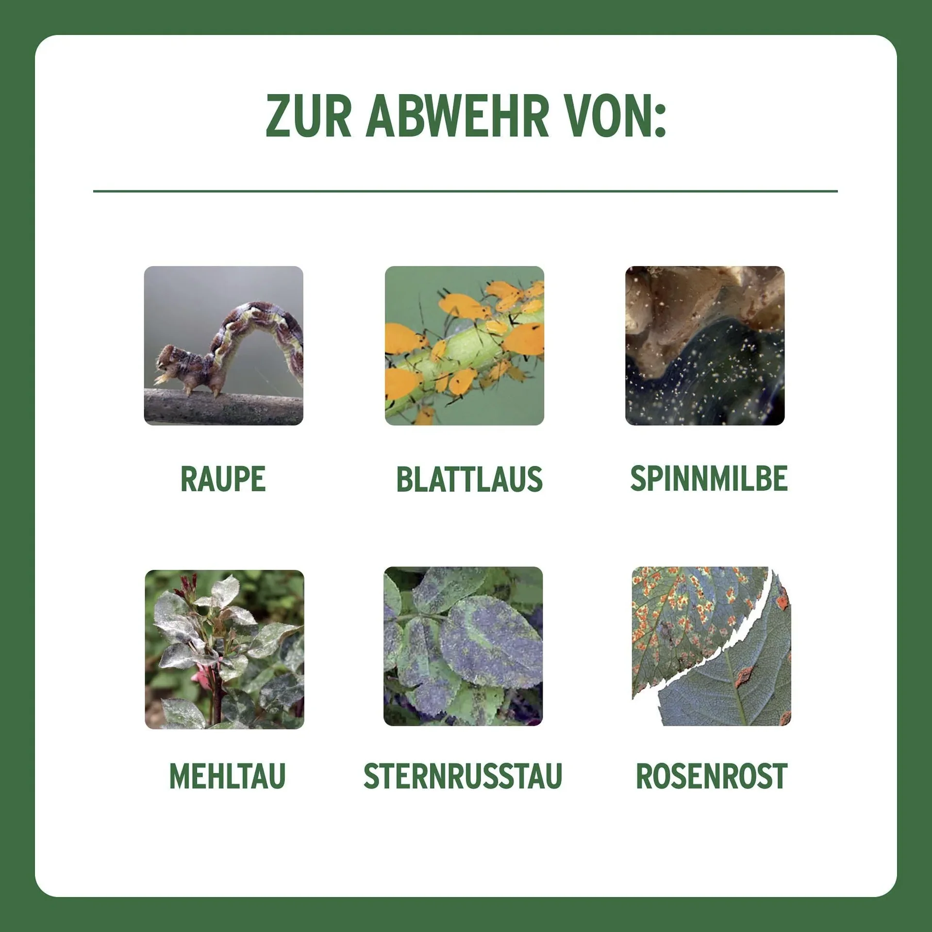 Combi-Rosen Spritzmittel für 10 Liter - 0